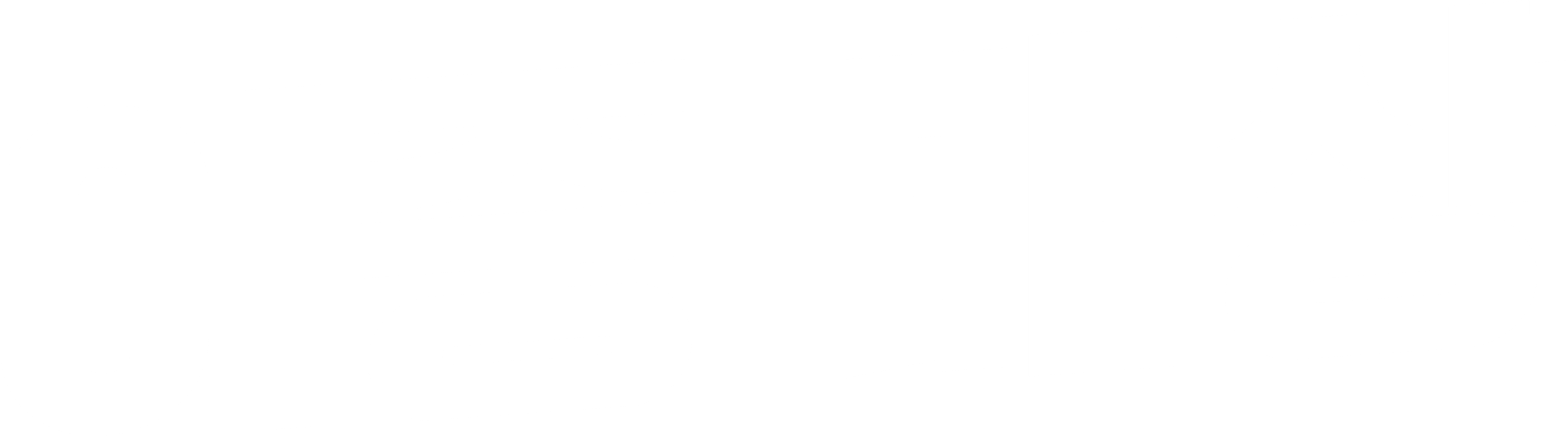 이중 배상