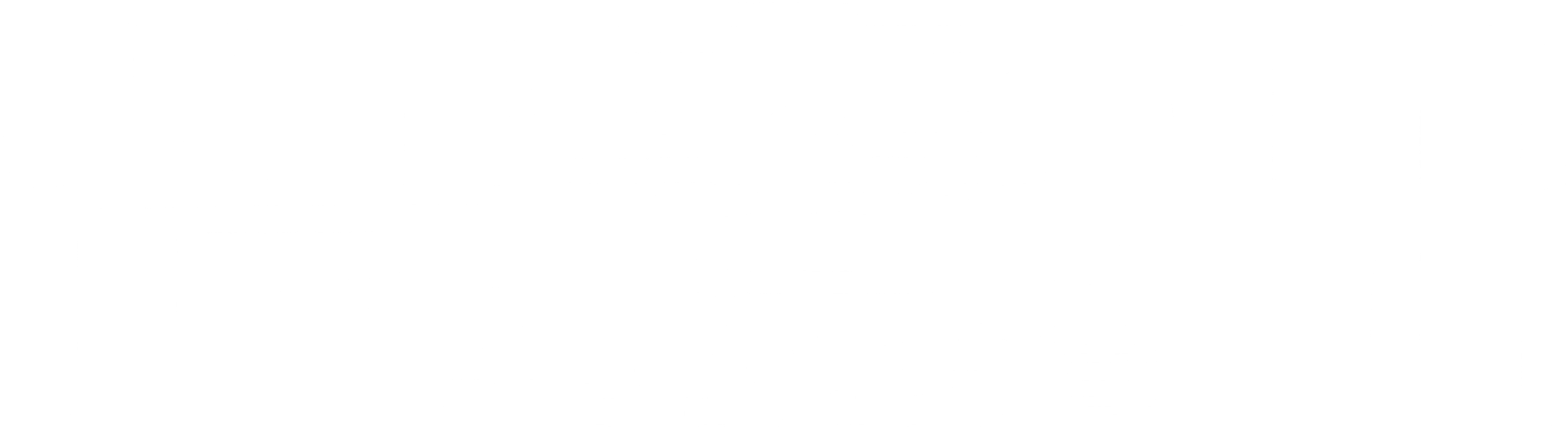 삼총사 : 용감한 친구들