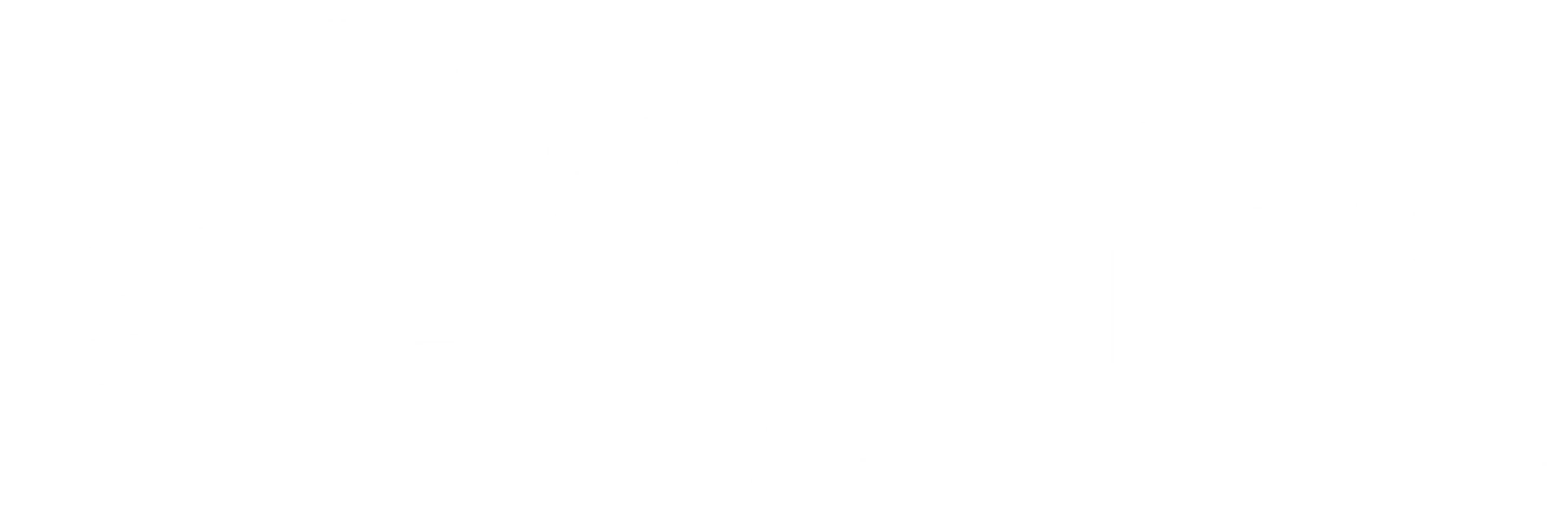 황야의 스트렌저