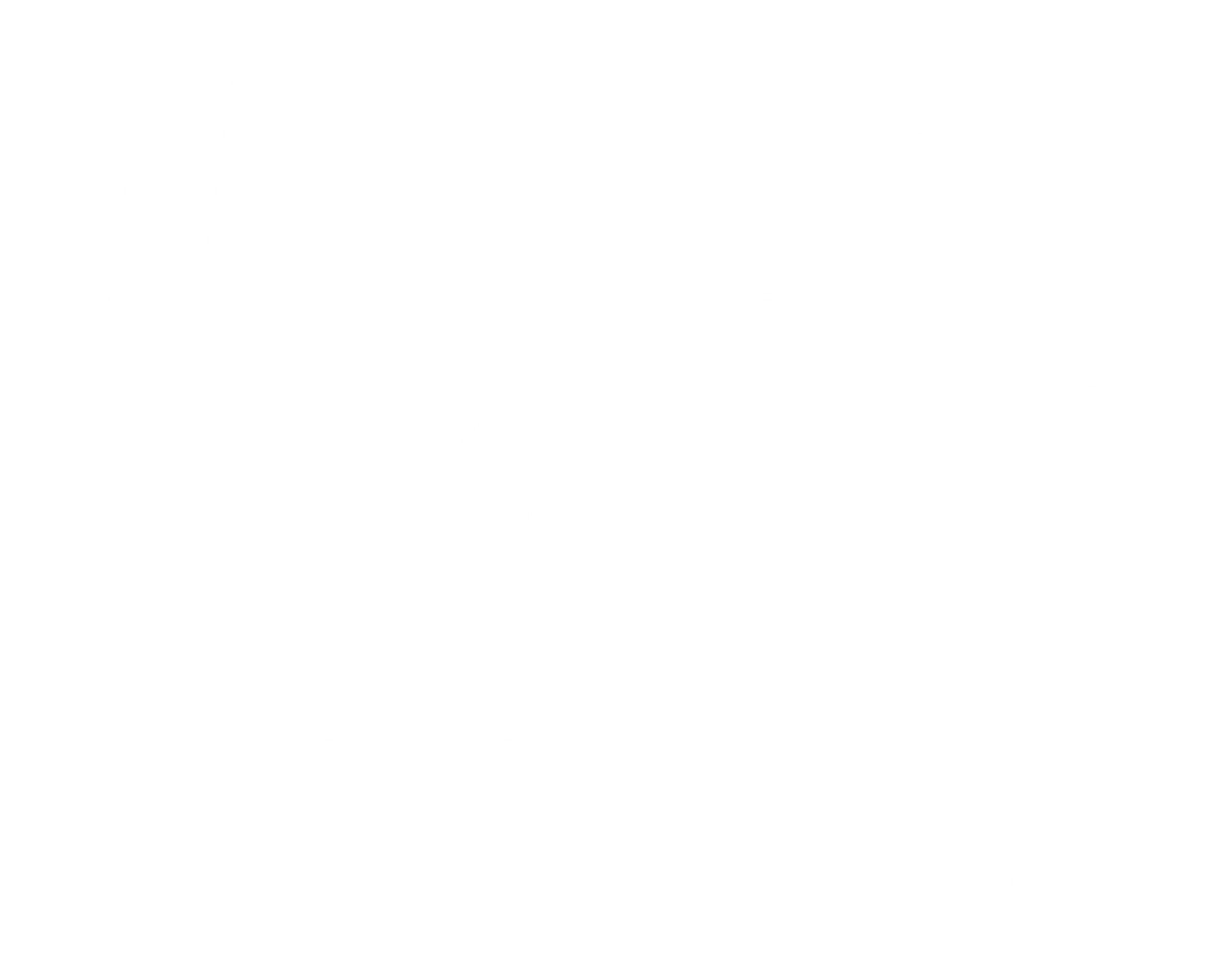 거짓말의 발명