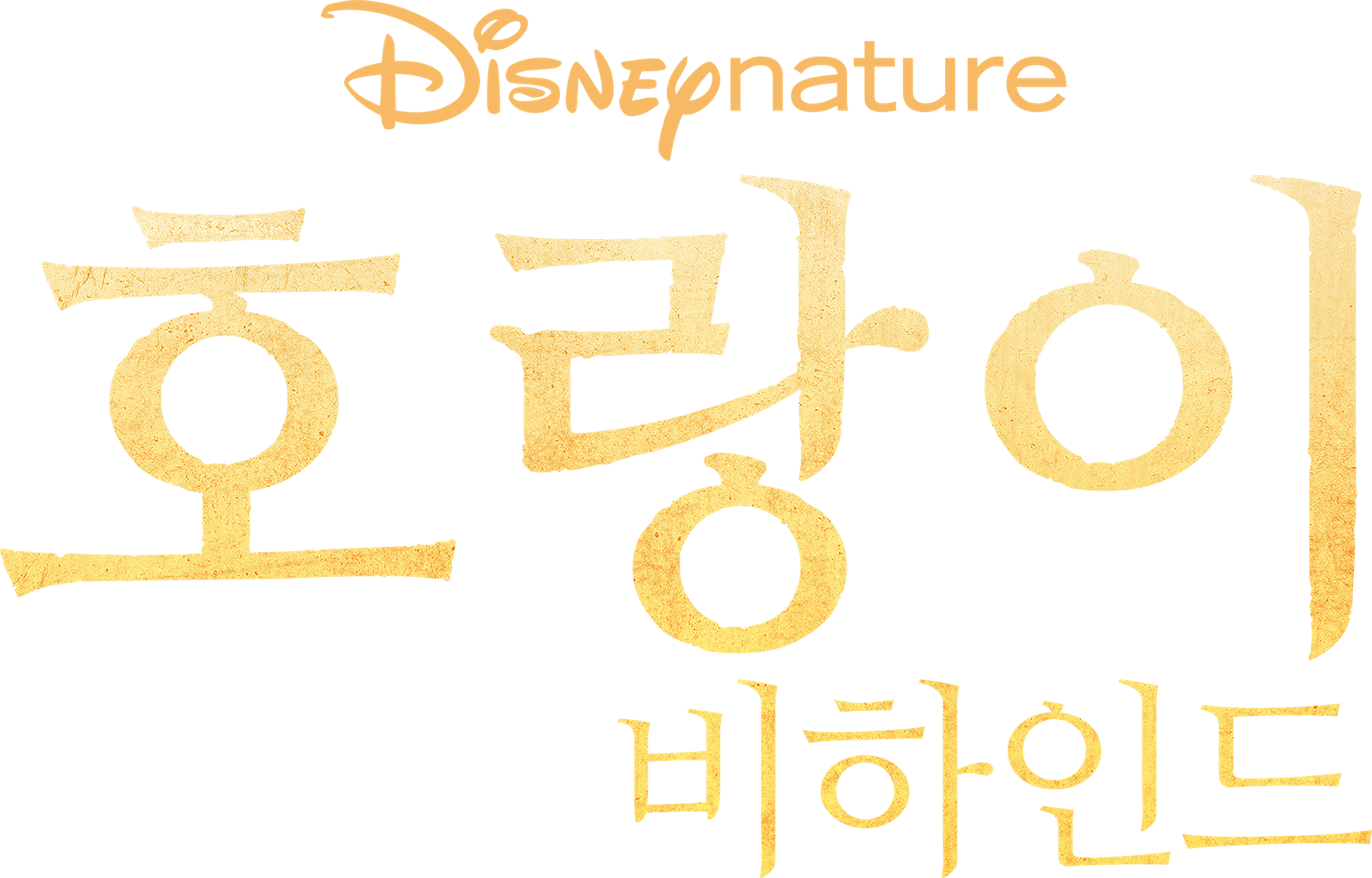 호랑이 비하인드