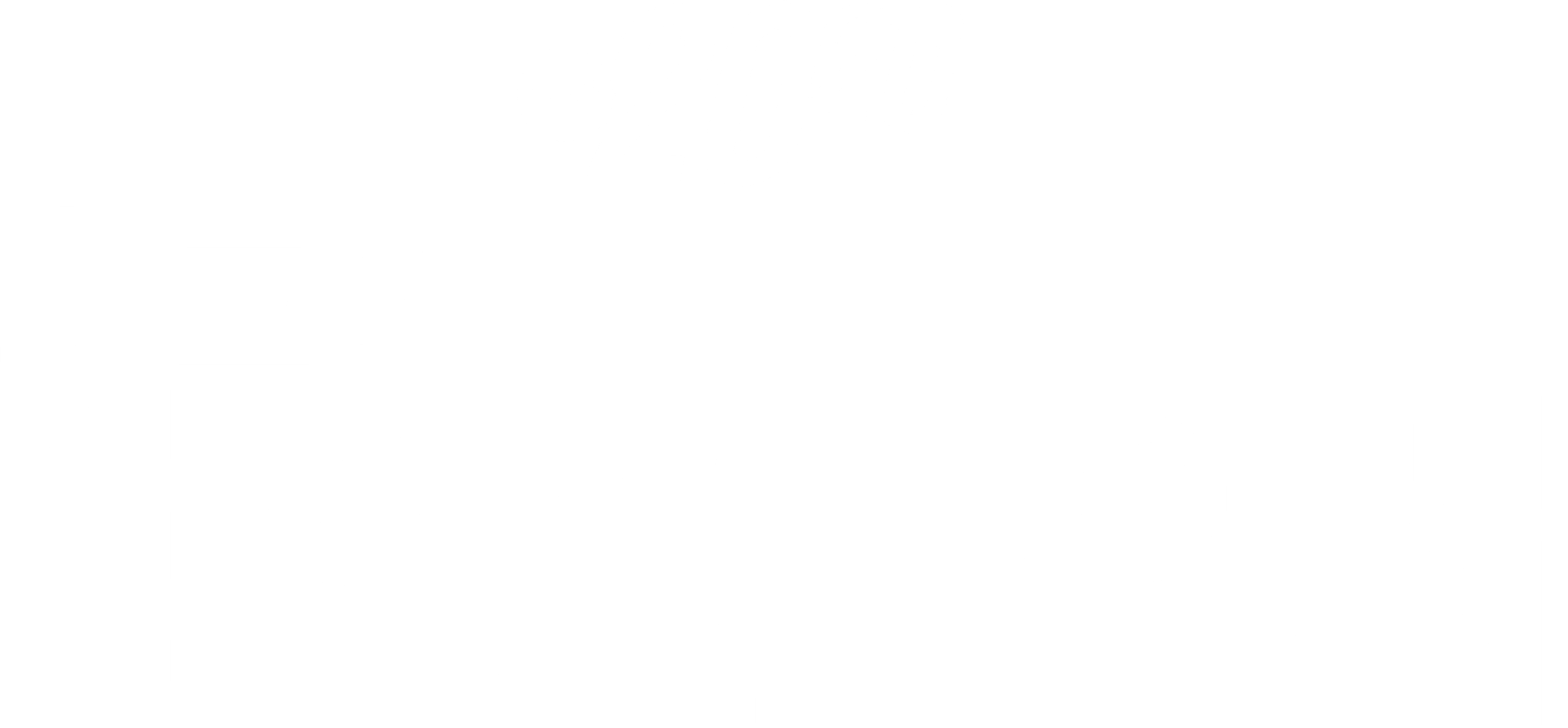 소호의 범인플루언서