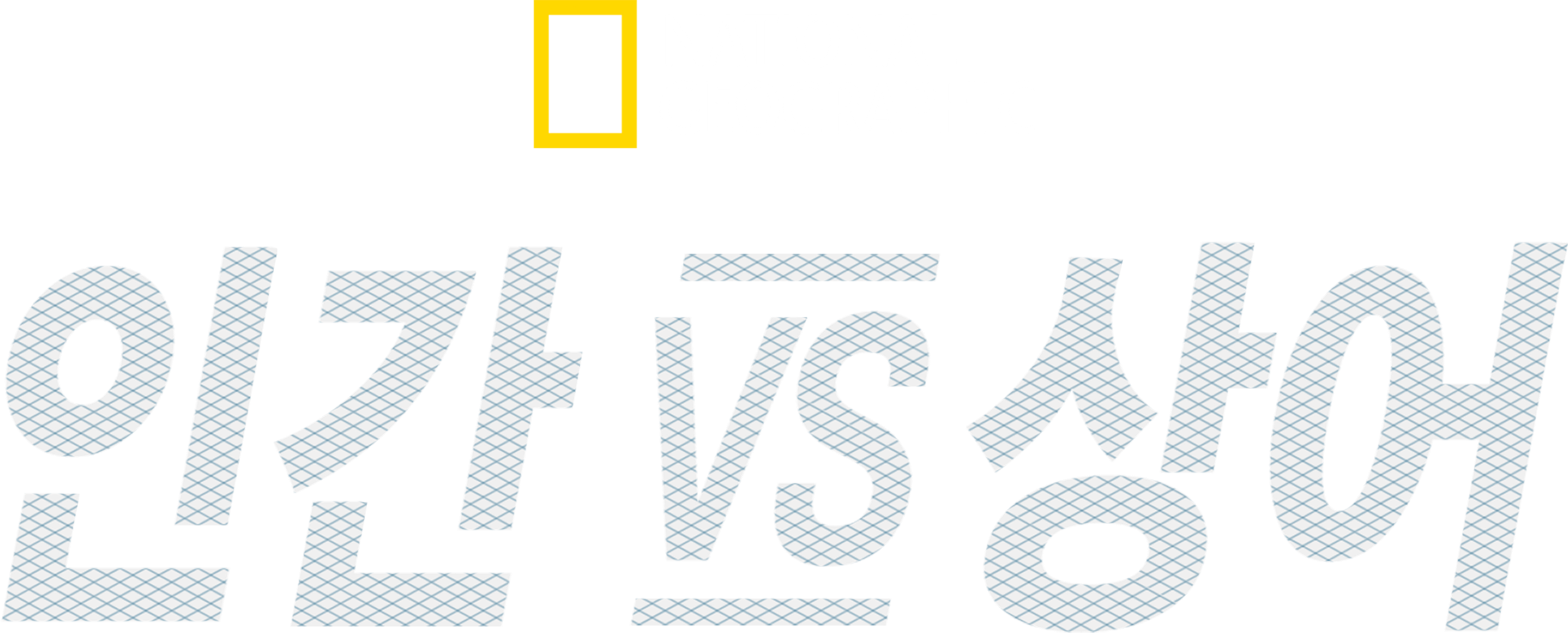 인간 vs 상어