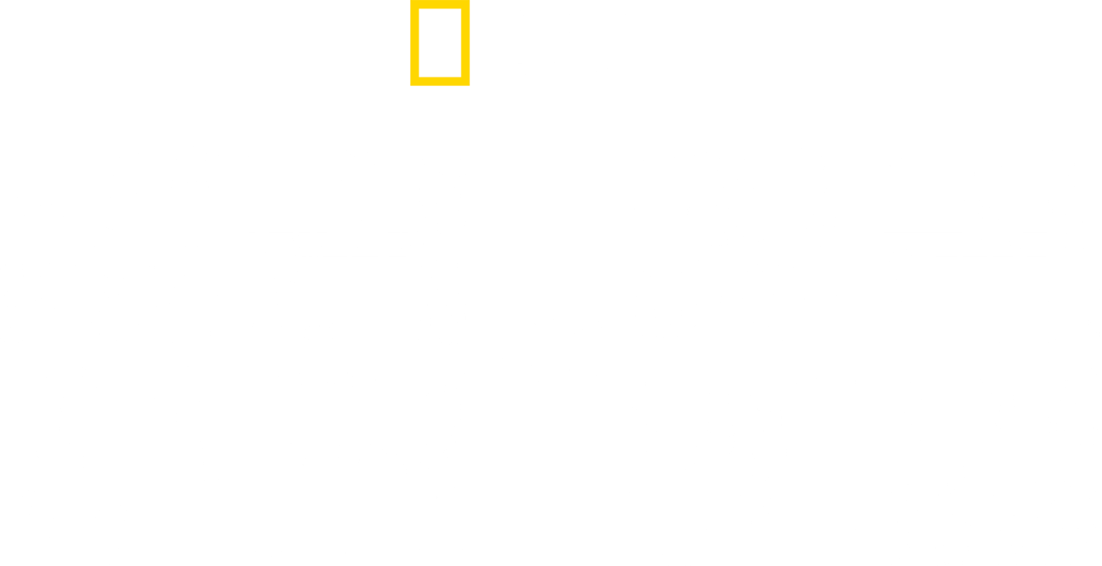 킬러 샤크 vs 킬러 웨일
