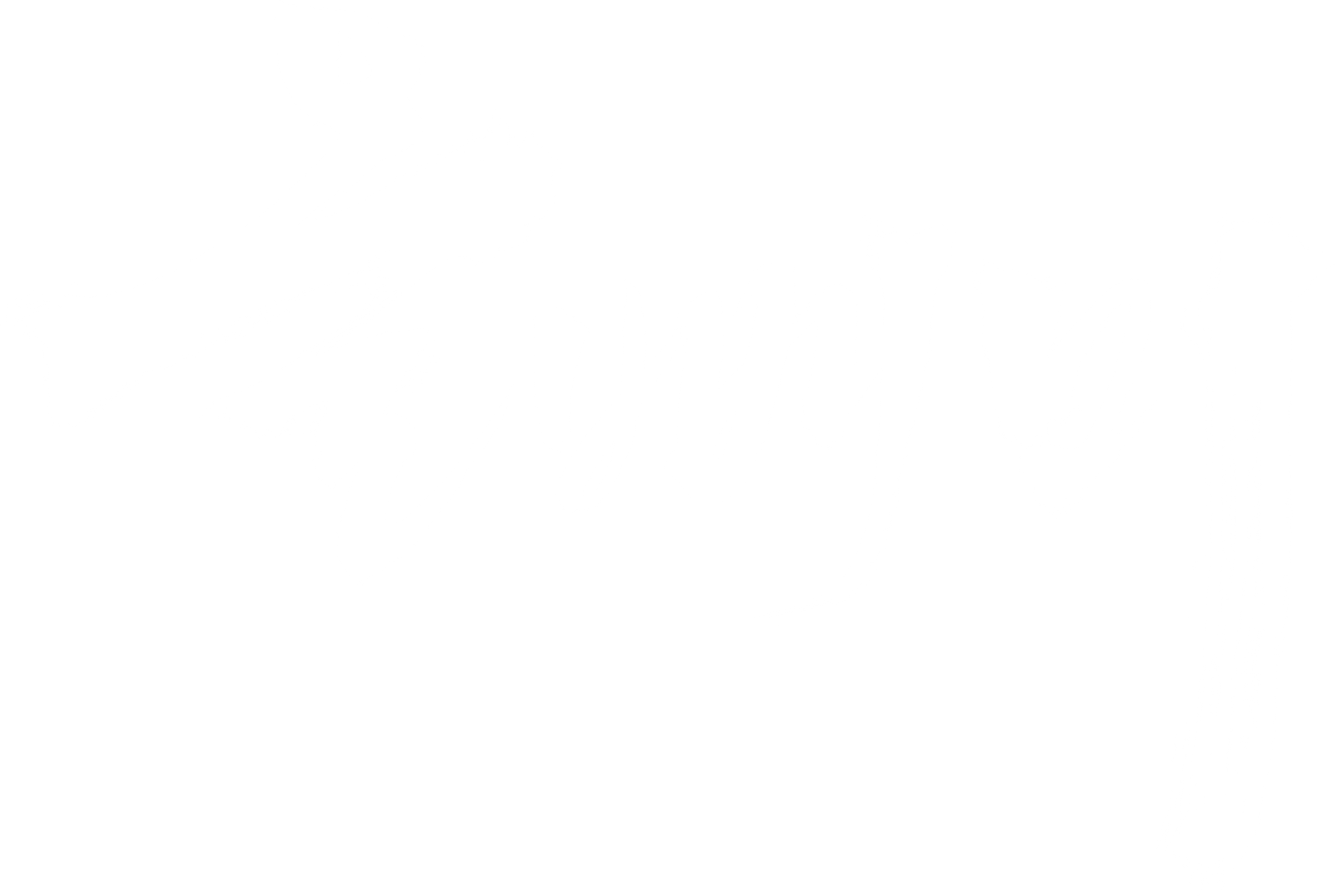 올빼미