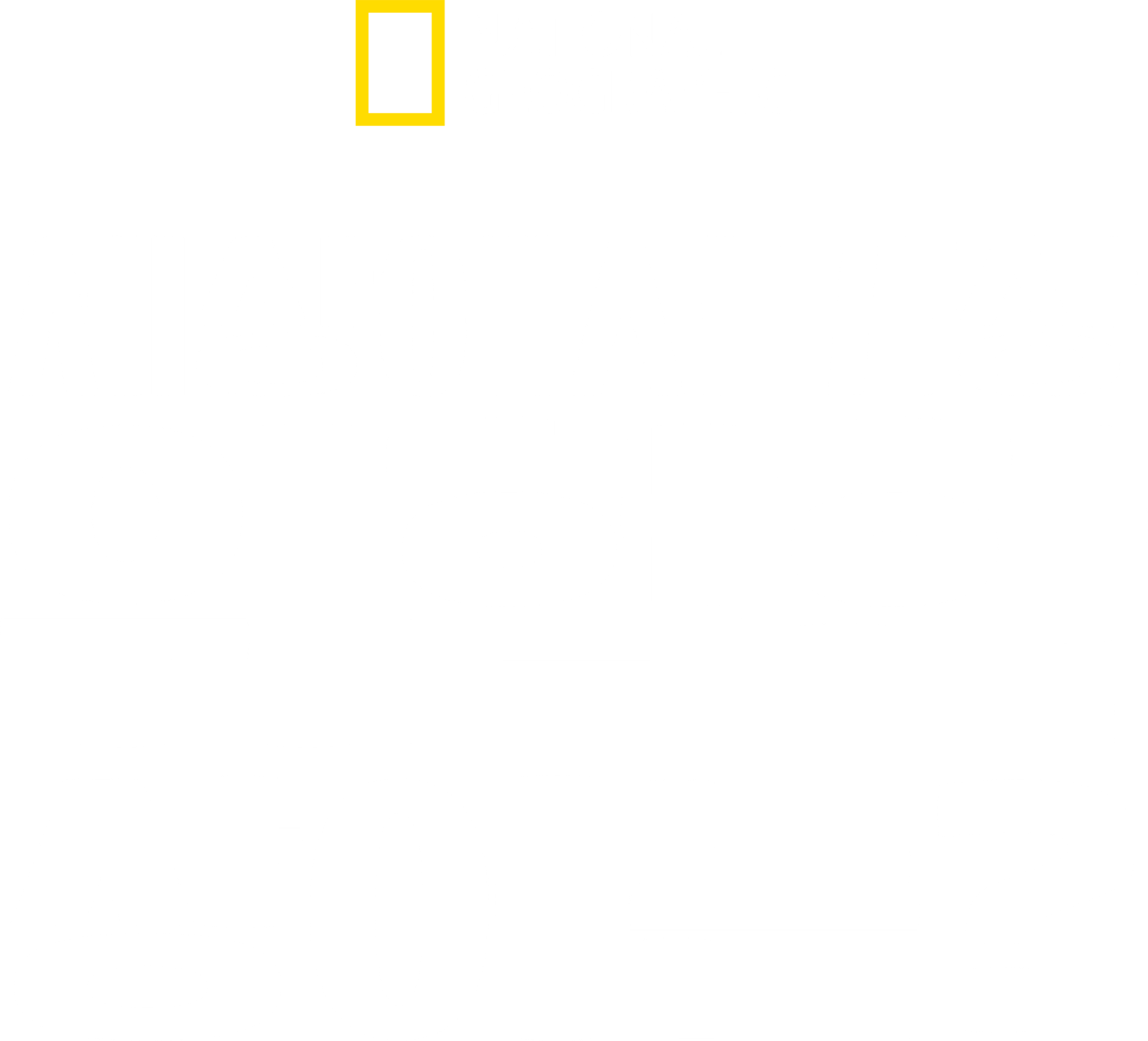 세상에서 가장 위험한 상어는?