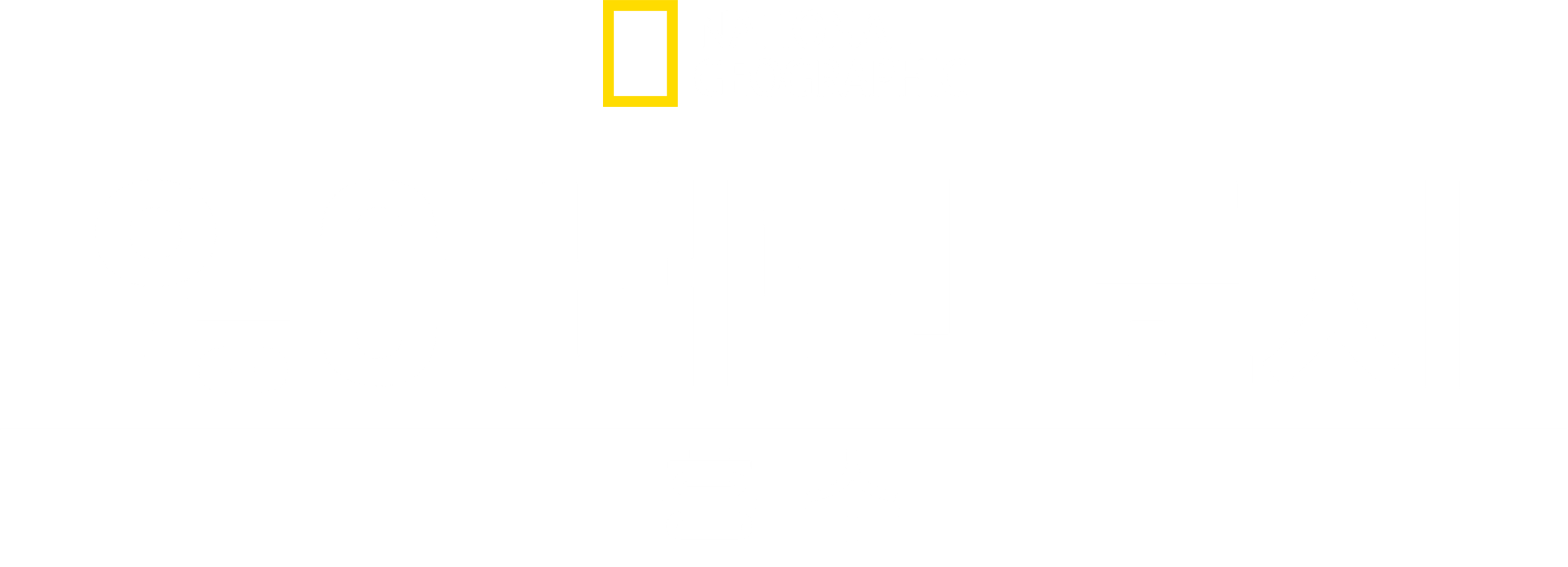 잃어버린 도시: 홍수