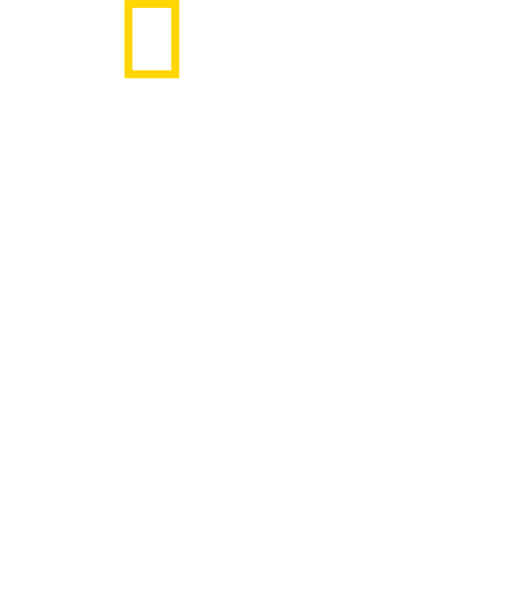마우이 샤크 미스터리