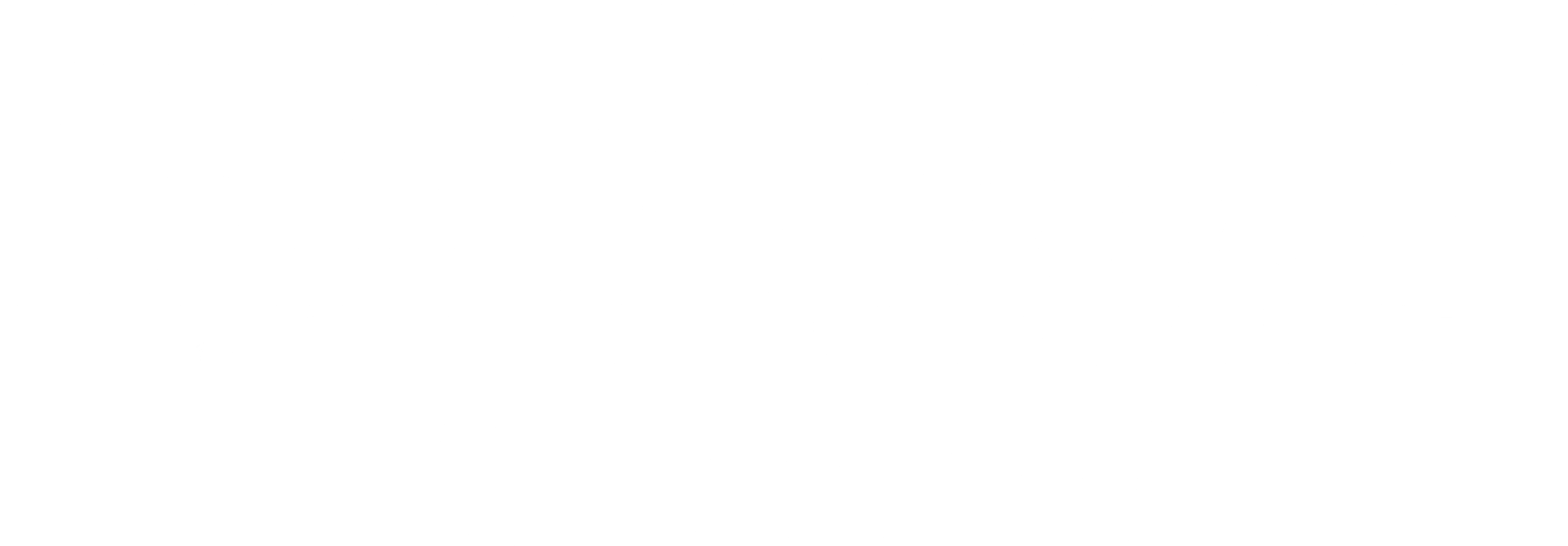 로드 다이어리: E 스트리트 밴드
