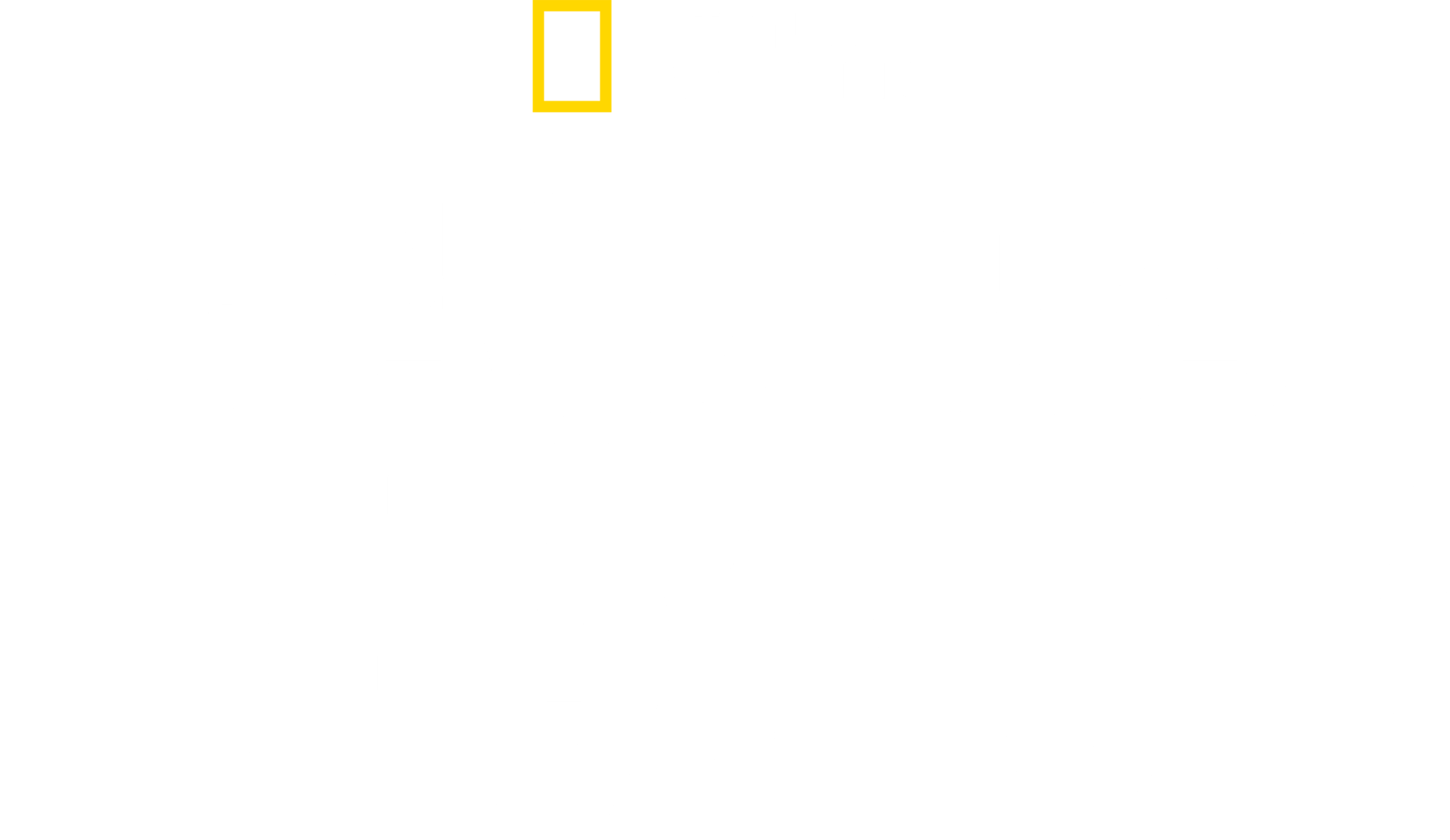 세상에서 가장 큰 귀상어?