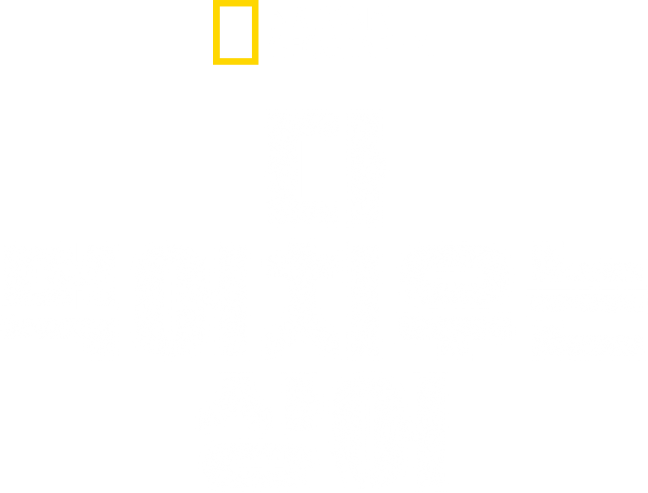 다 먹어치우는 상어