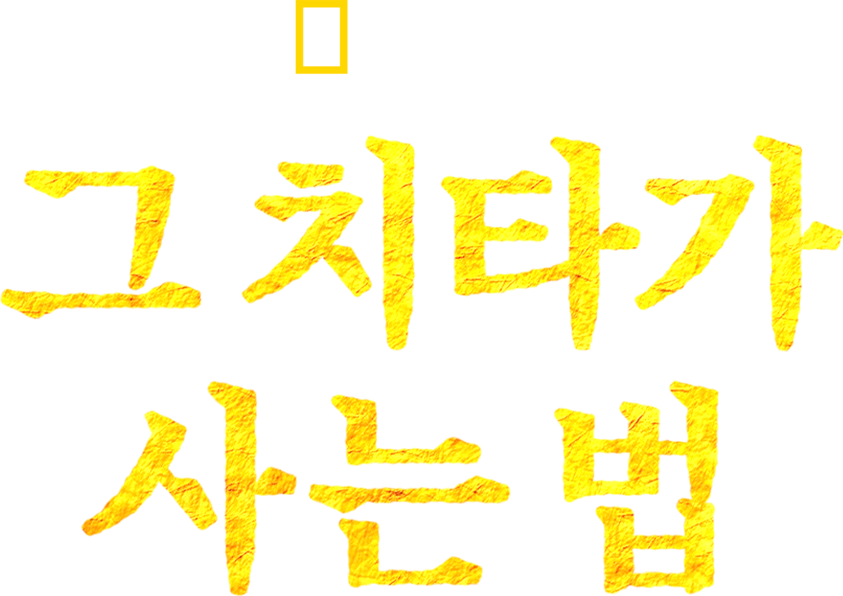 그 치타가 사는 법