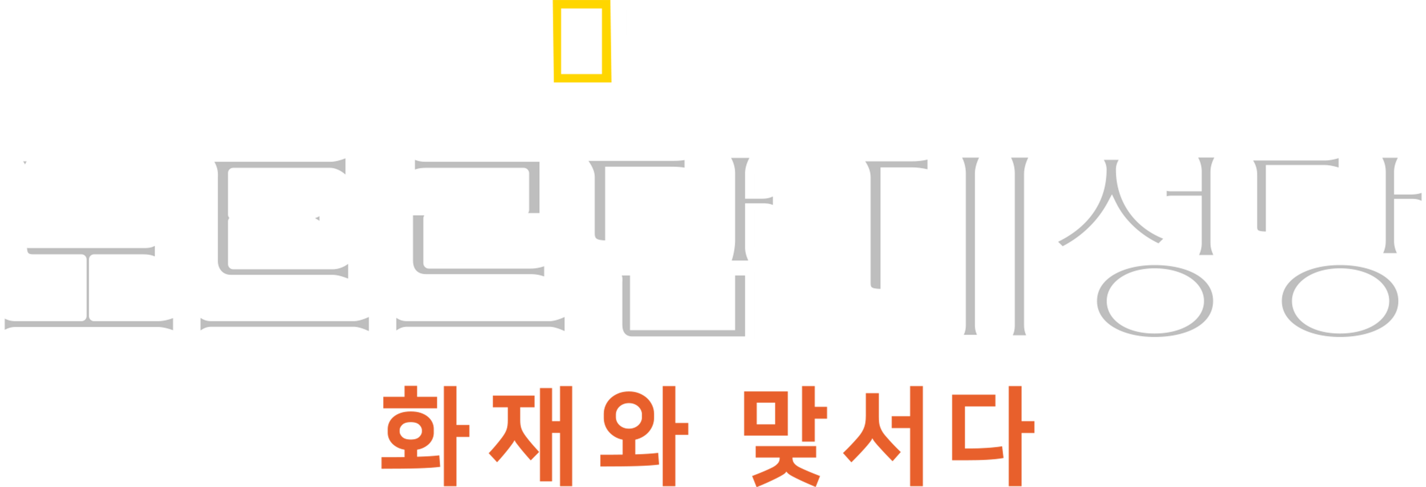 노트르담 대성당: 화재와 맞서다