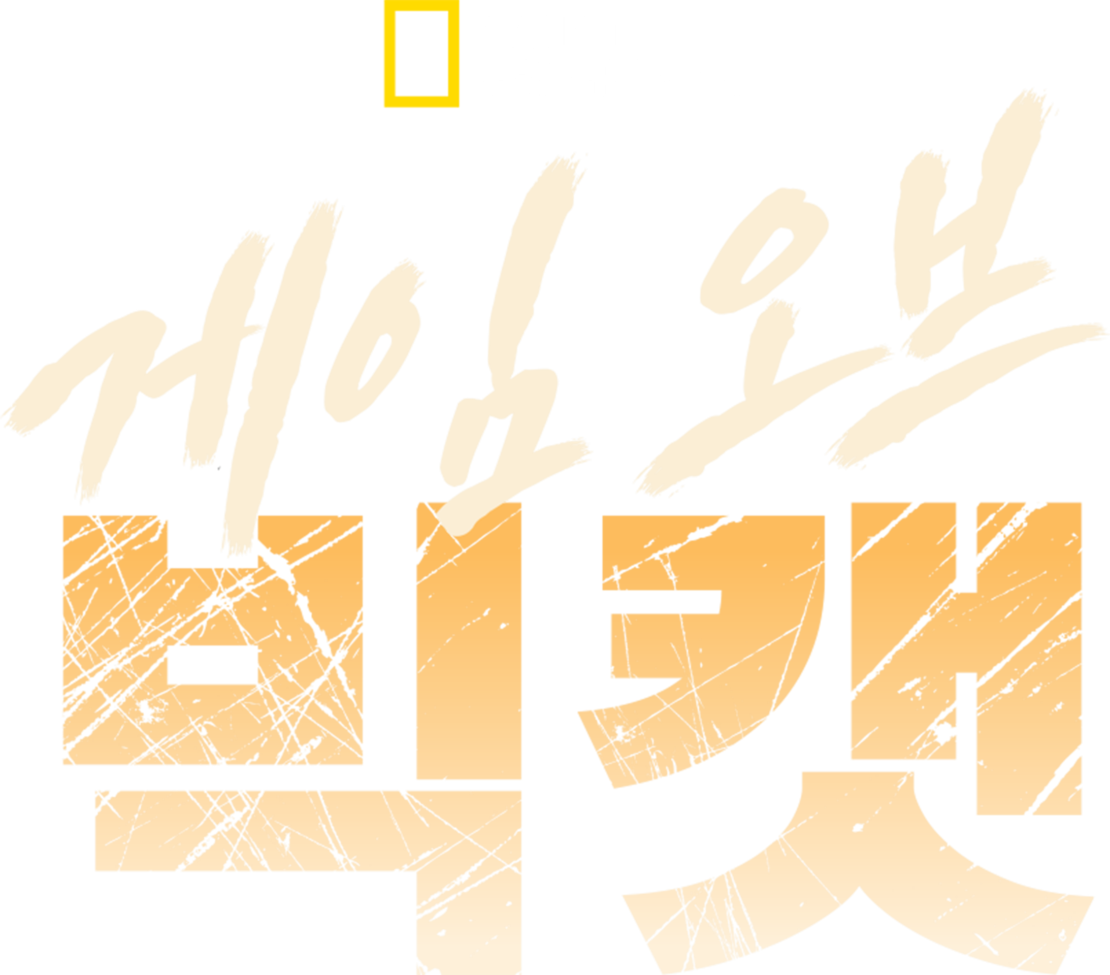 게임 오브 빅캣