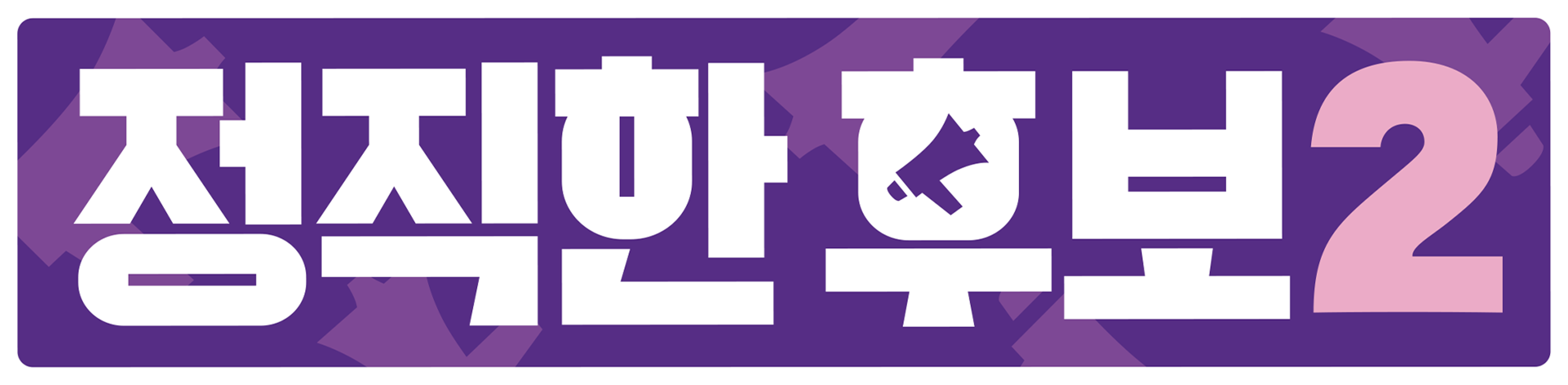 정직한 후보 2