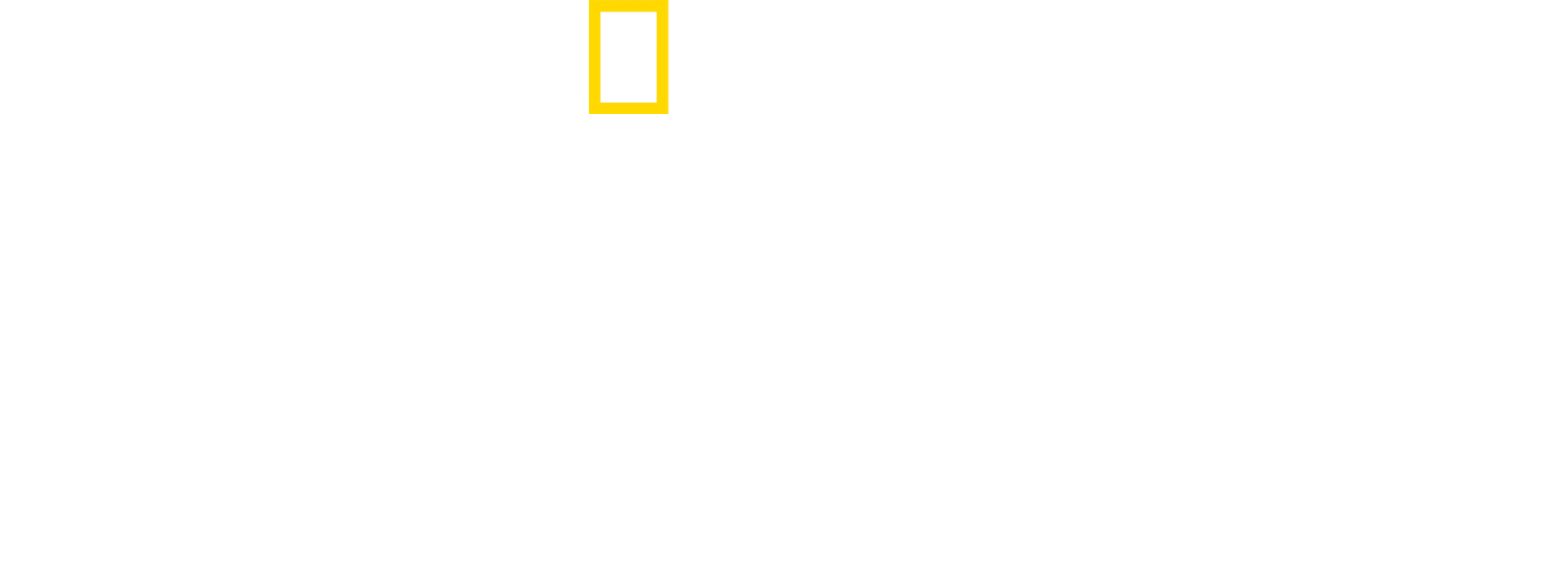 위대한 구조