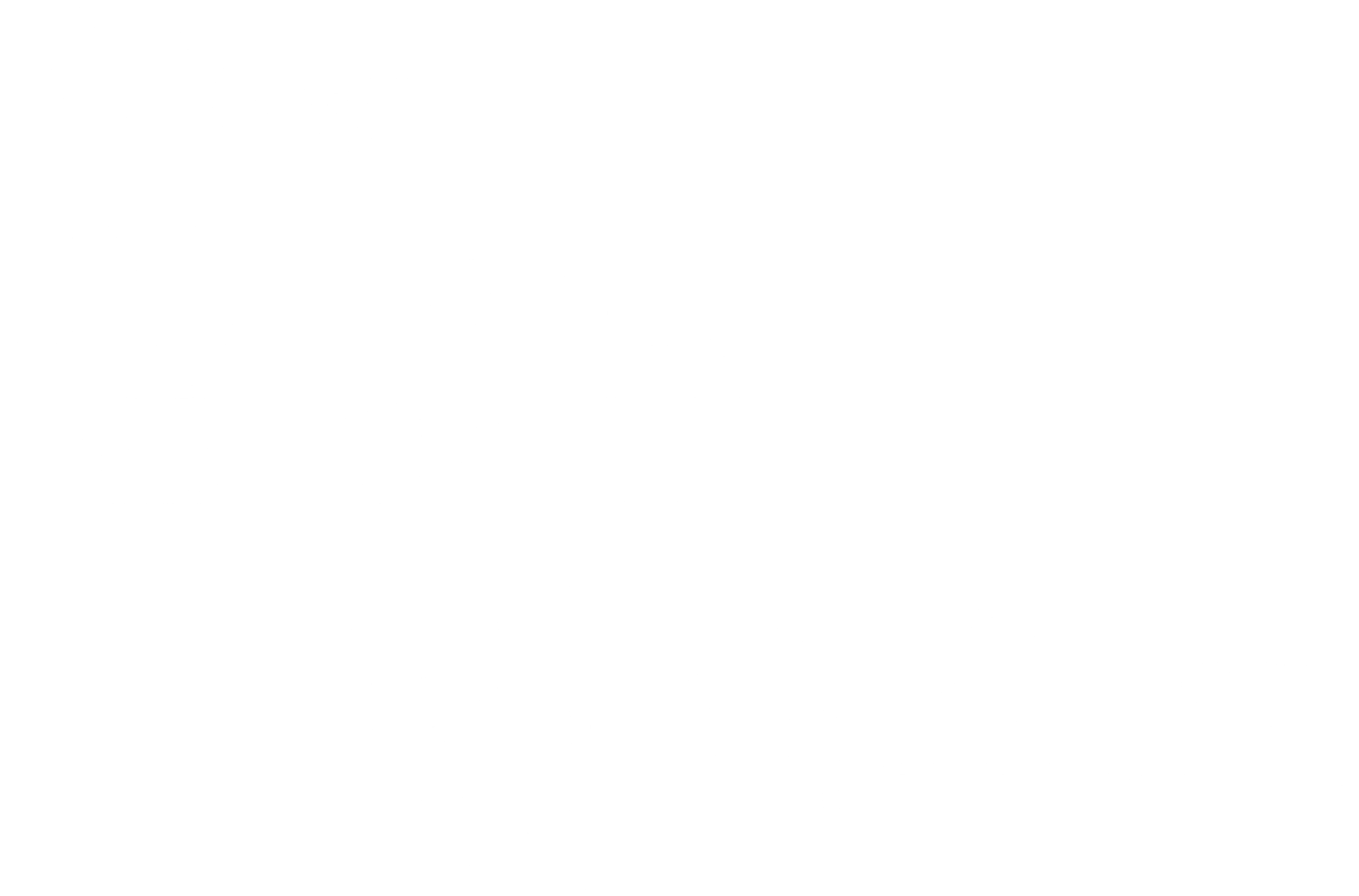 끝 없는 빛 속으로