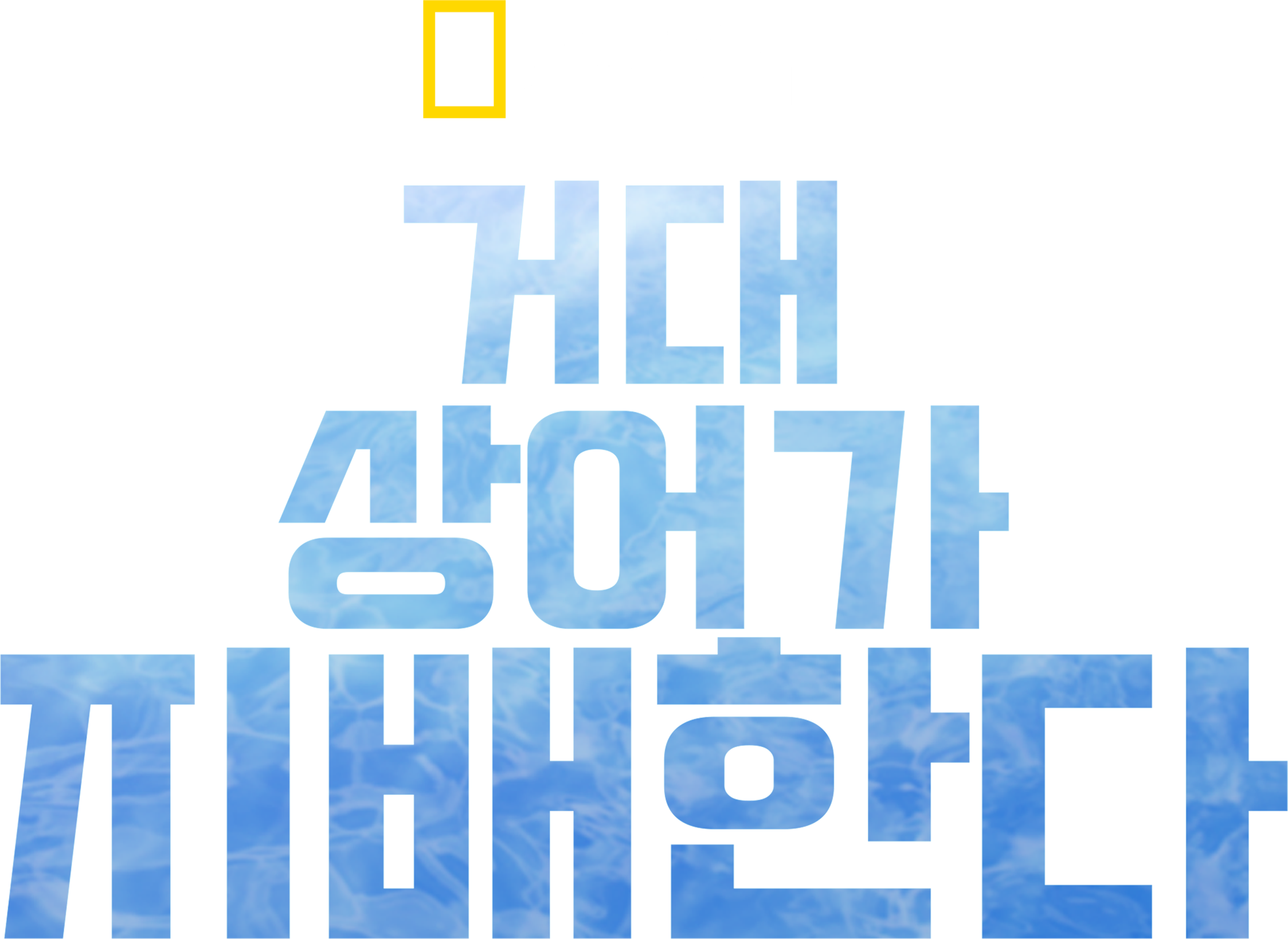 거대 상어가 지배한다