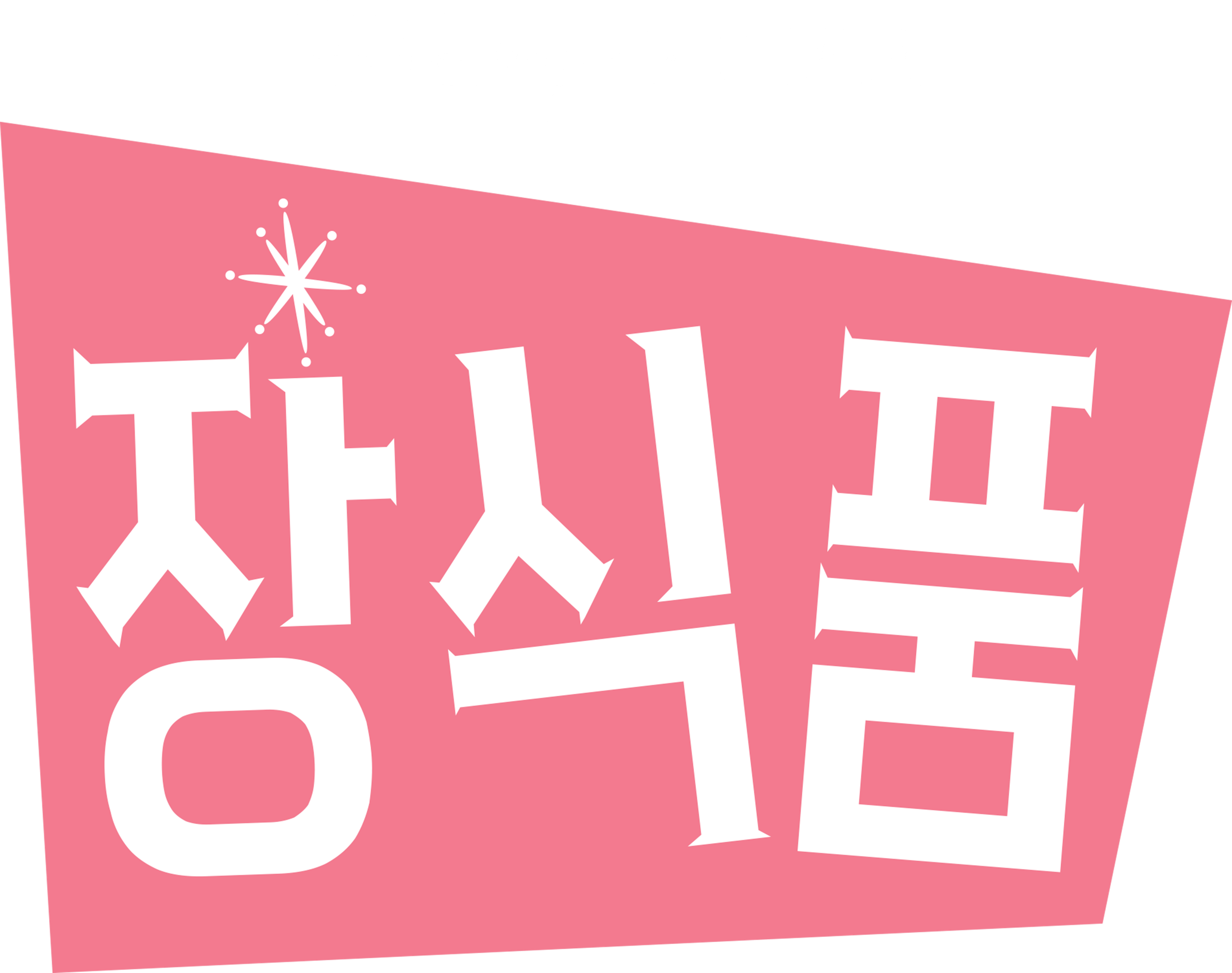 장식품