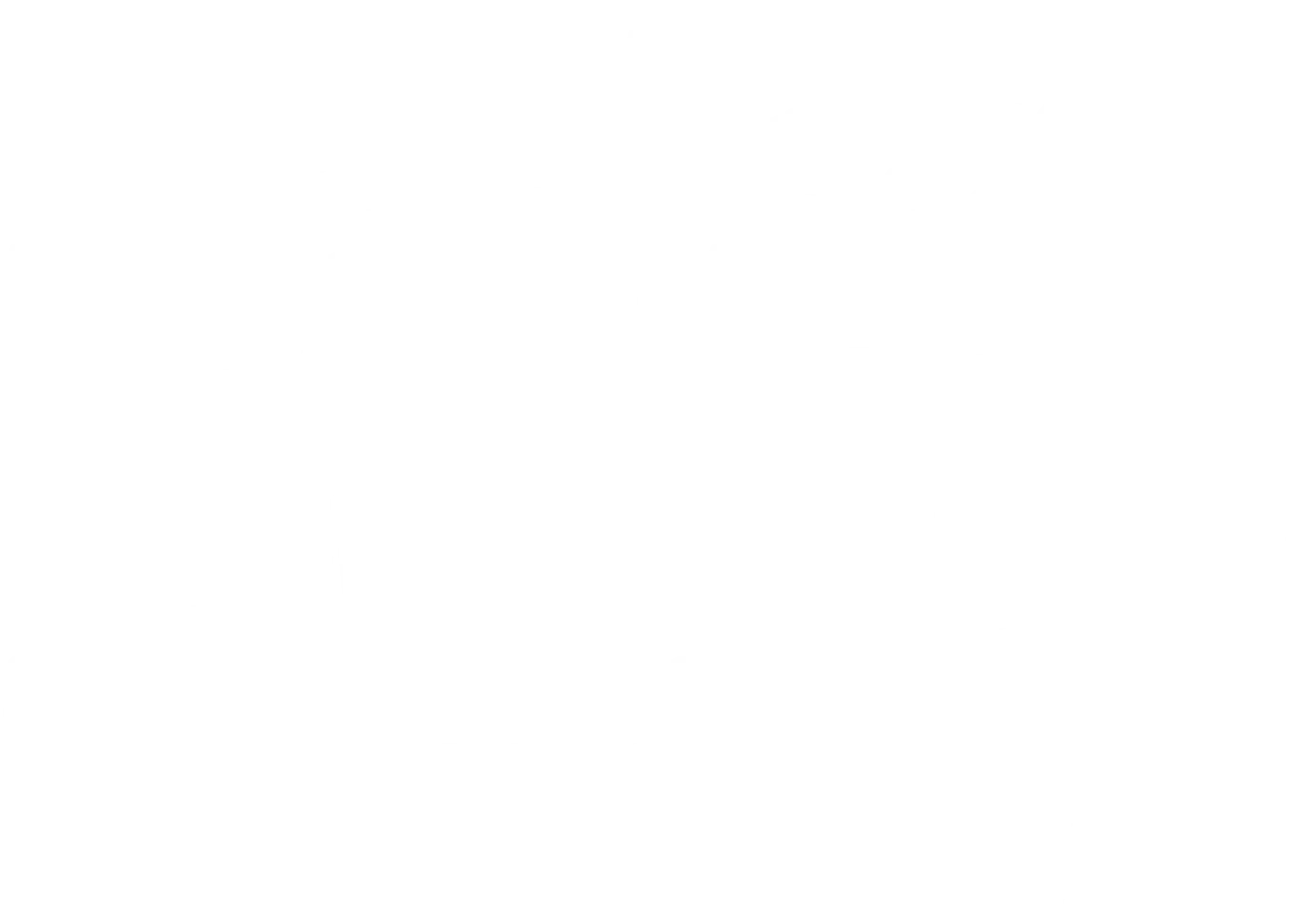 슈퍼스타 뚜루