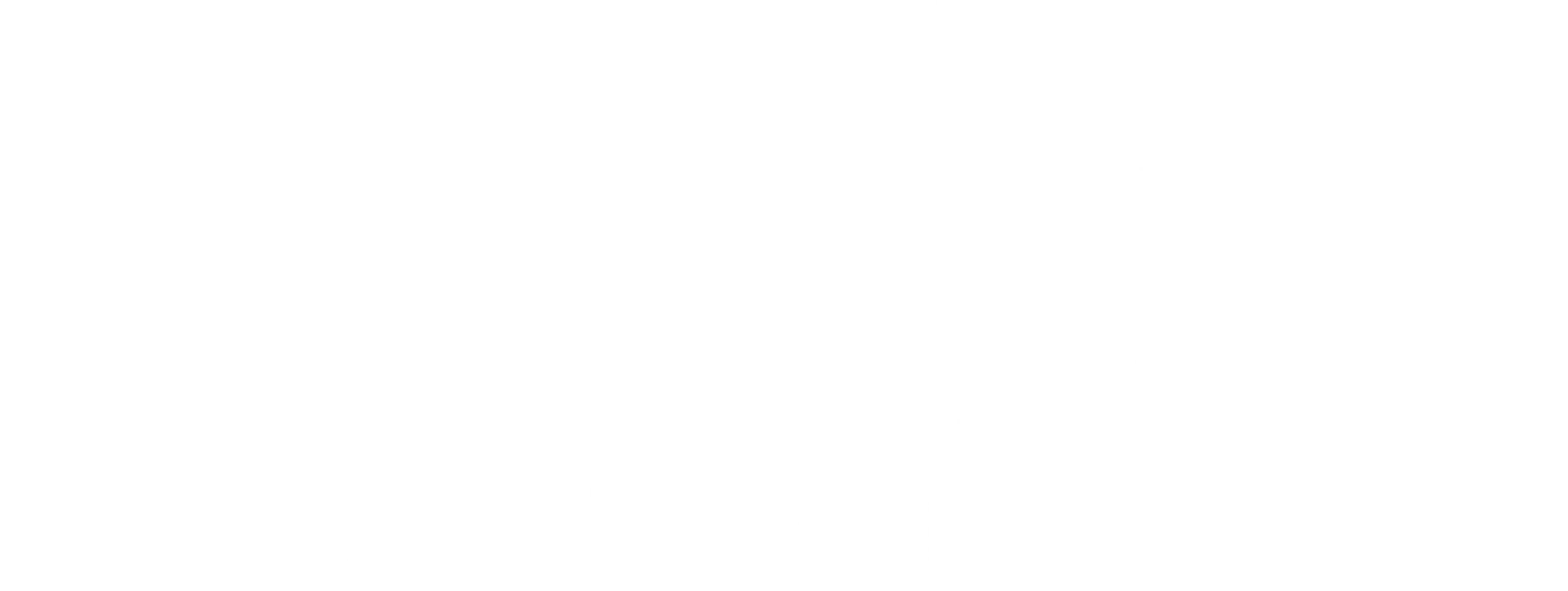 프로페셔널 보험 조사원 아마네 렌