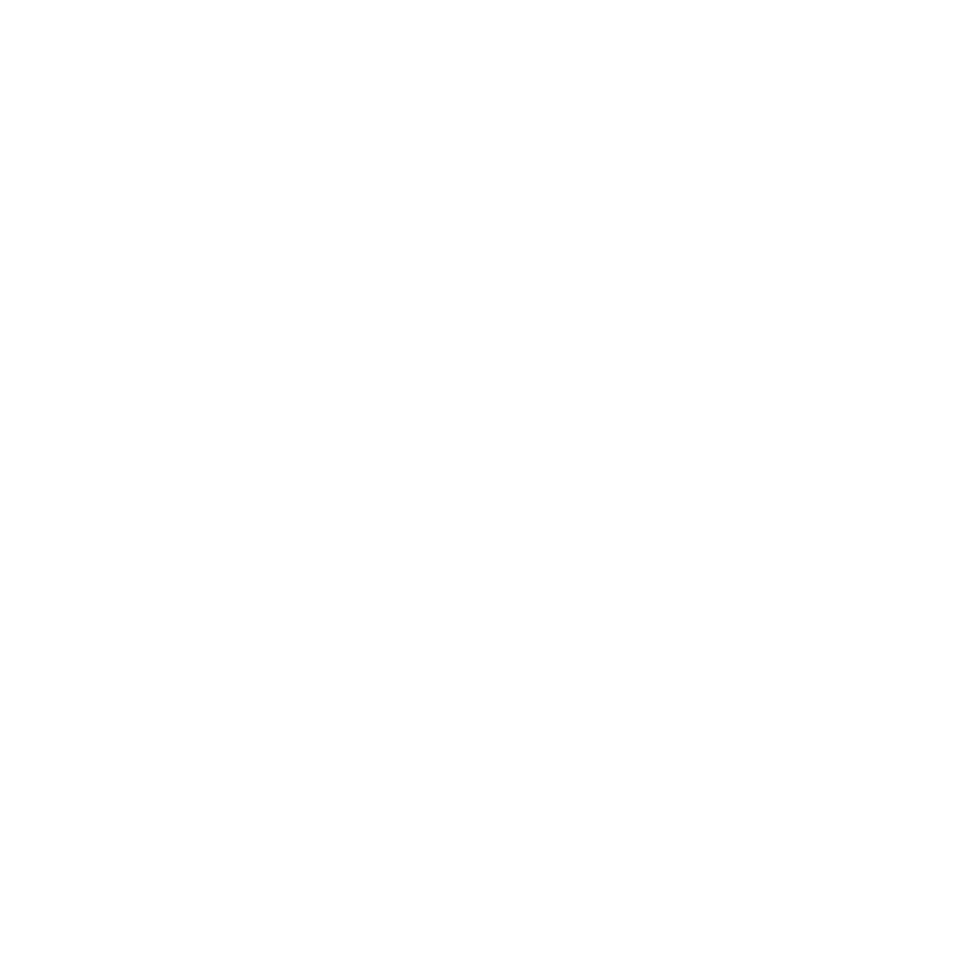 크레이지 리치 아시안