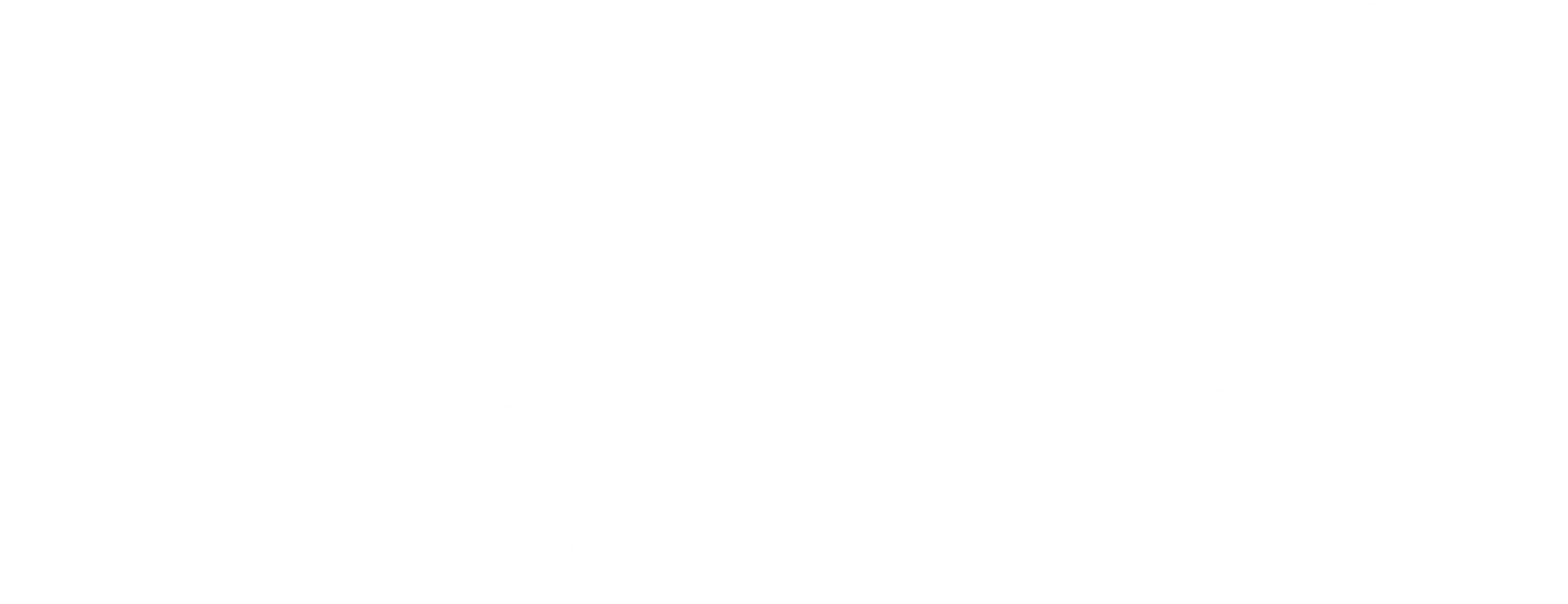 엘라 벨라 빙고: 친구 찾기 대작전