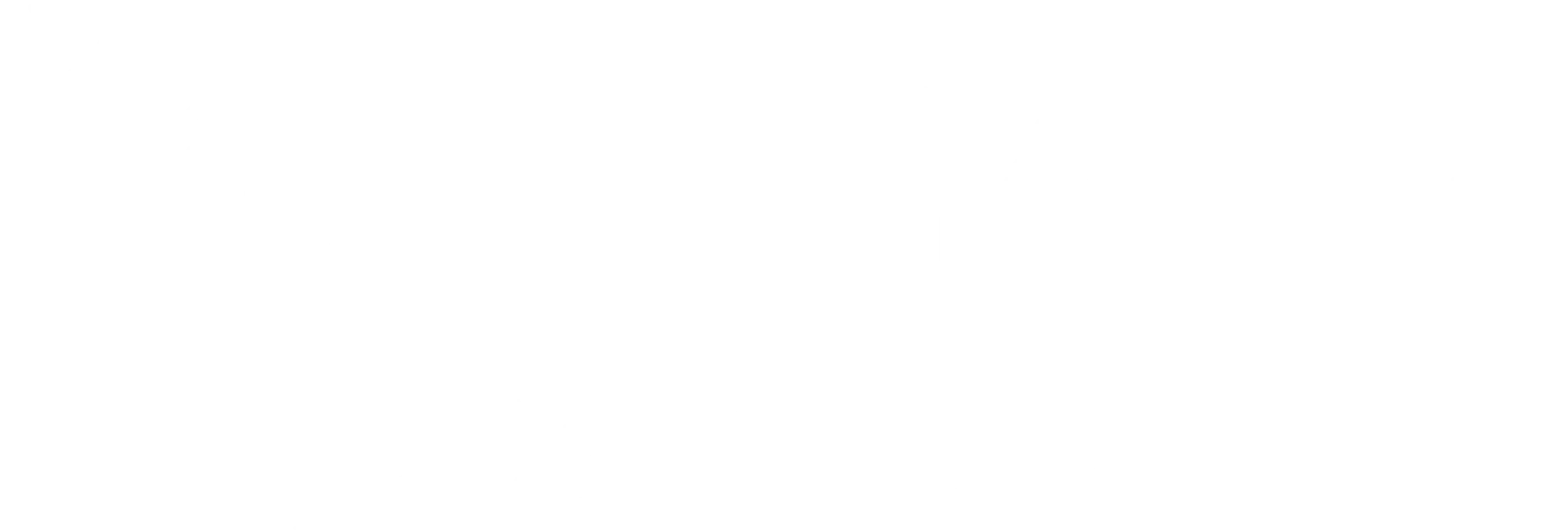 포켓몬스터: 메가볼티지