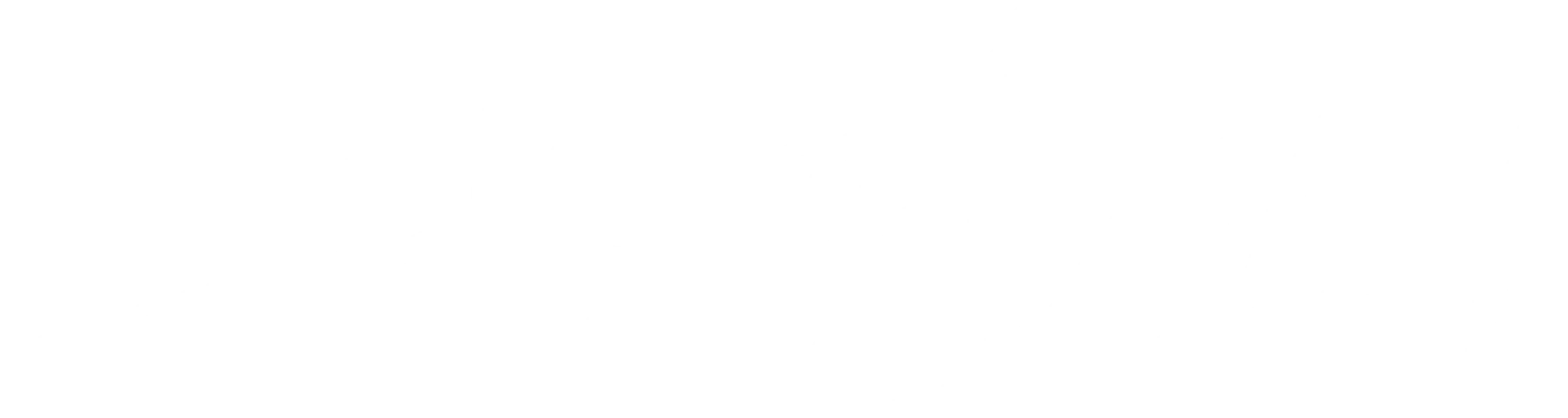스피릿 핑거스!
