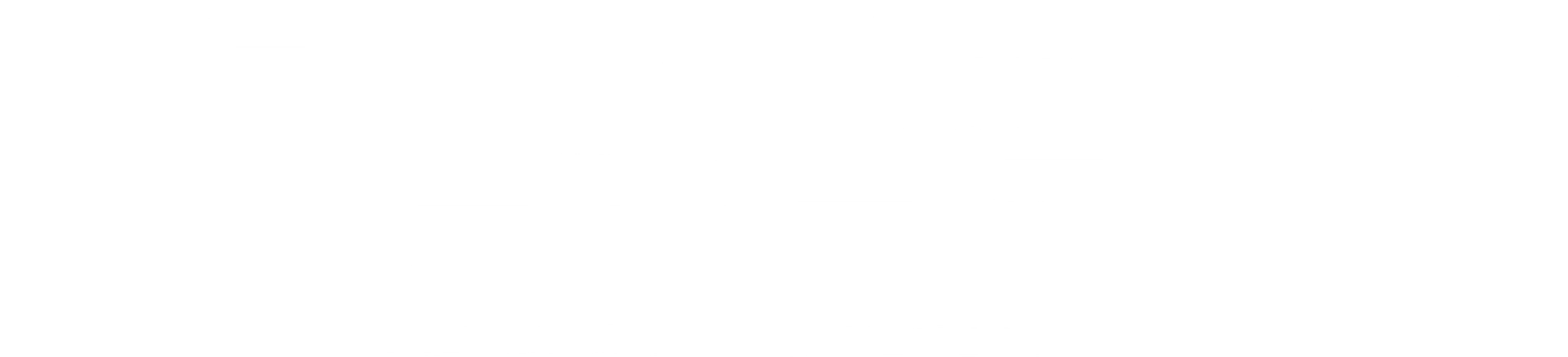 지존본색