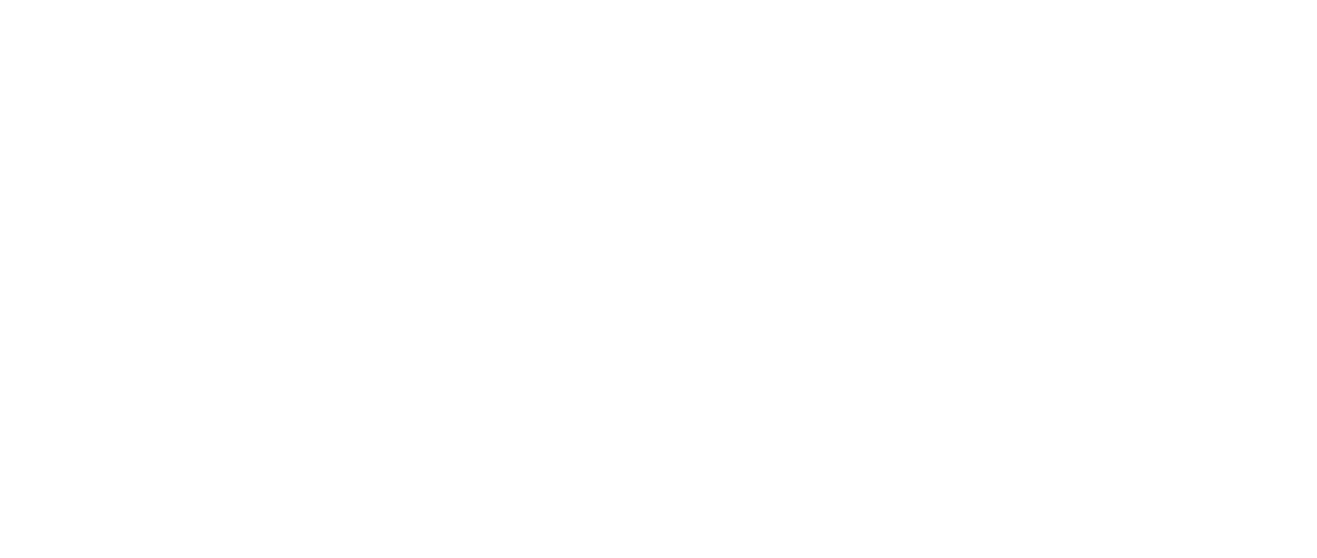 트레버 노아: 그 엄마에 그 아들