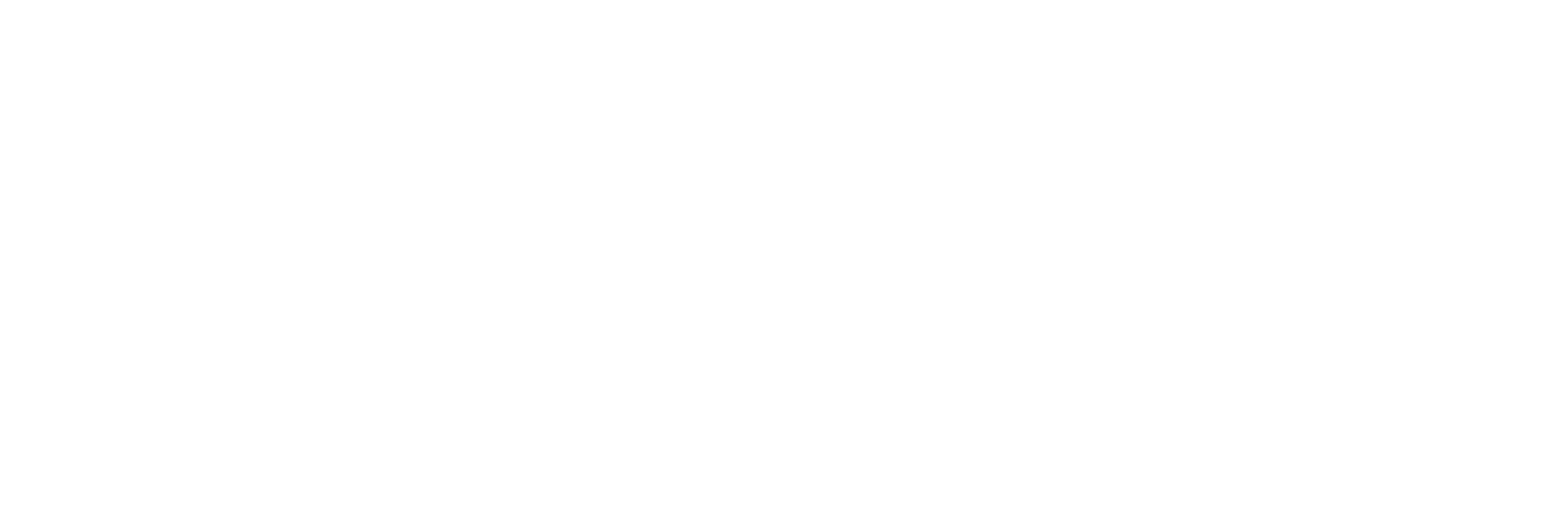 에이미 슈머: 성장 코미디