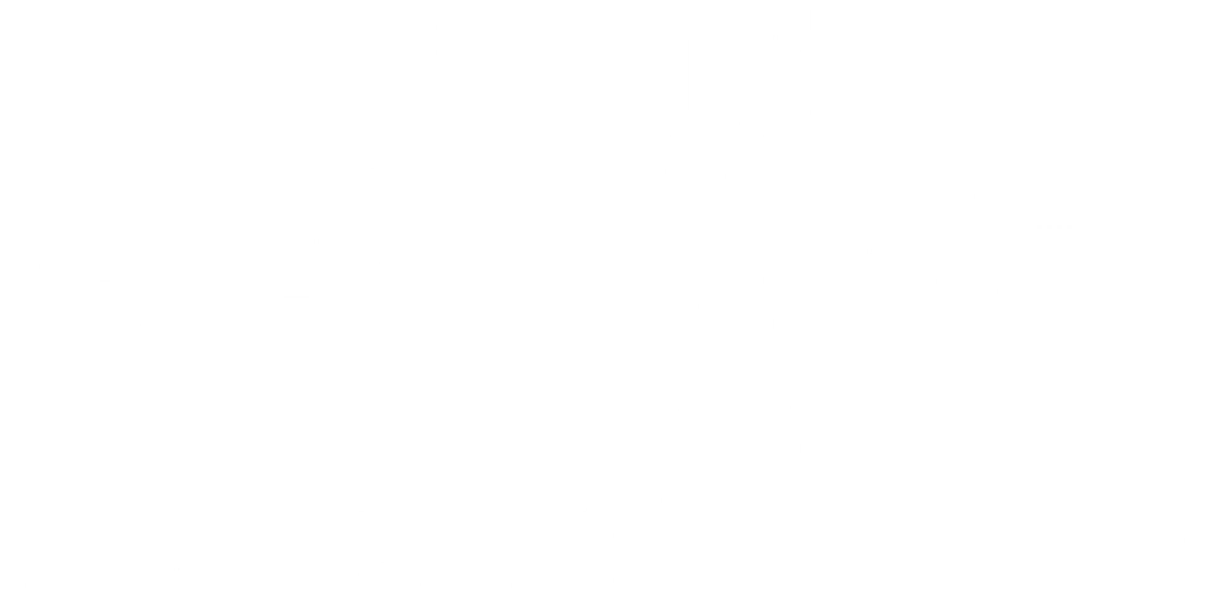 일라이자: 확인 사살