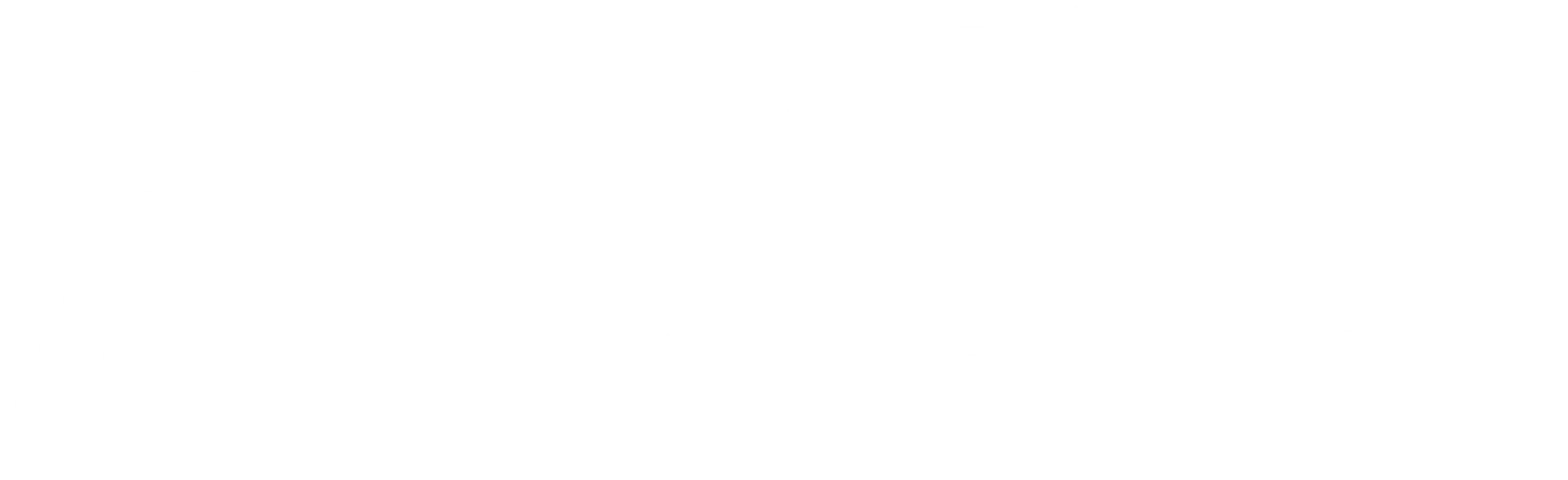 칼의 전쟁