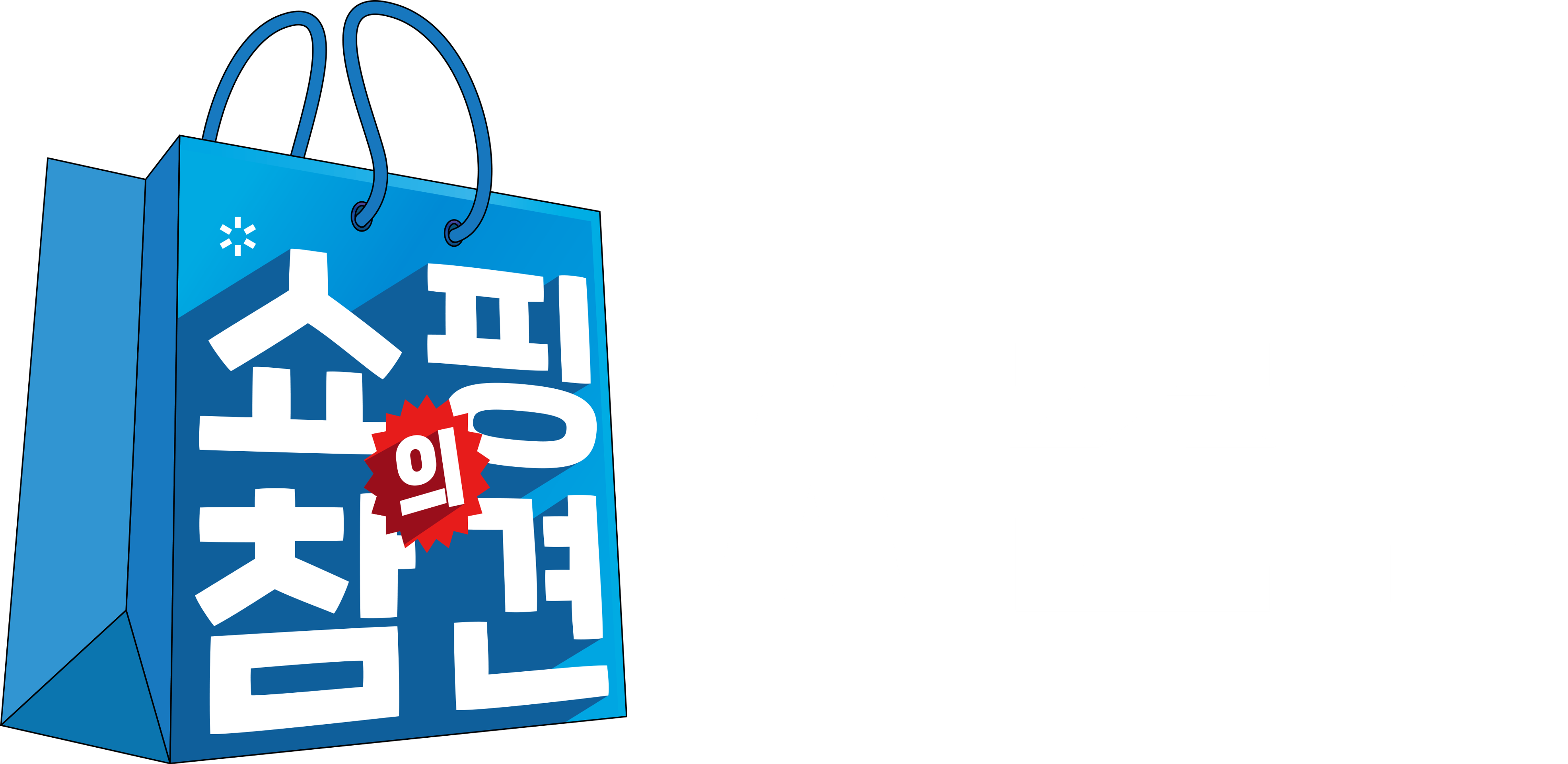쇼핑의 참견 시즌1