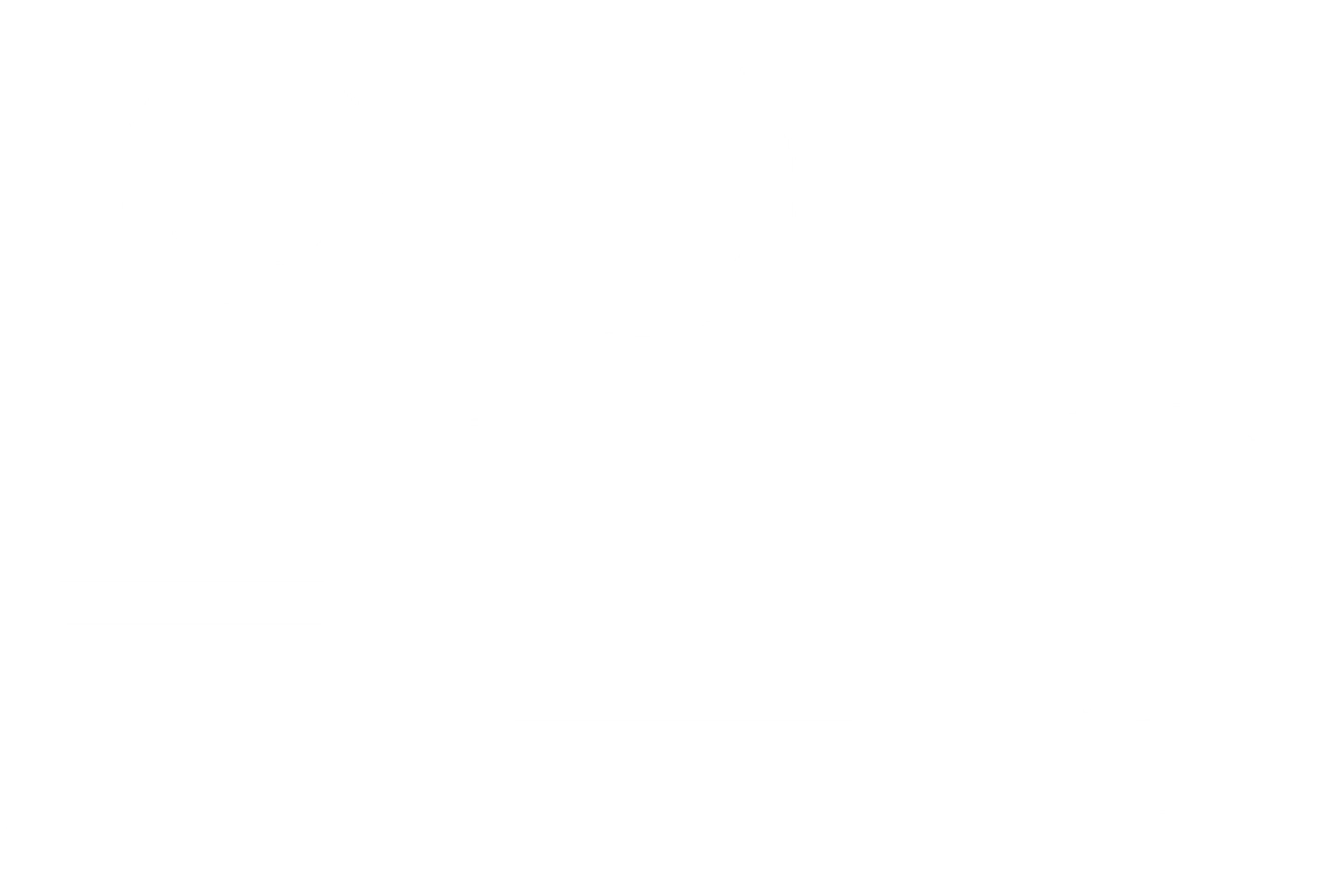 화이트 크로우