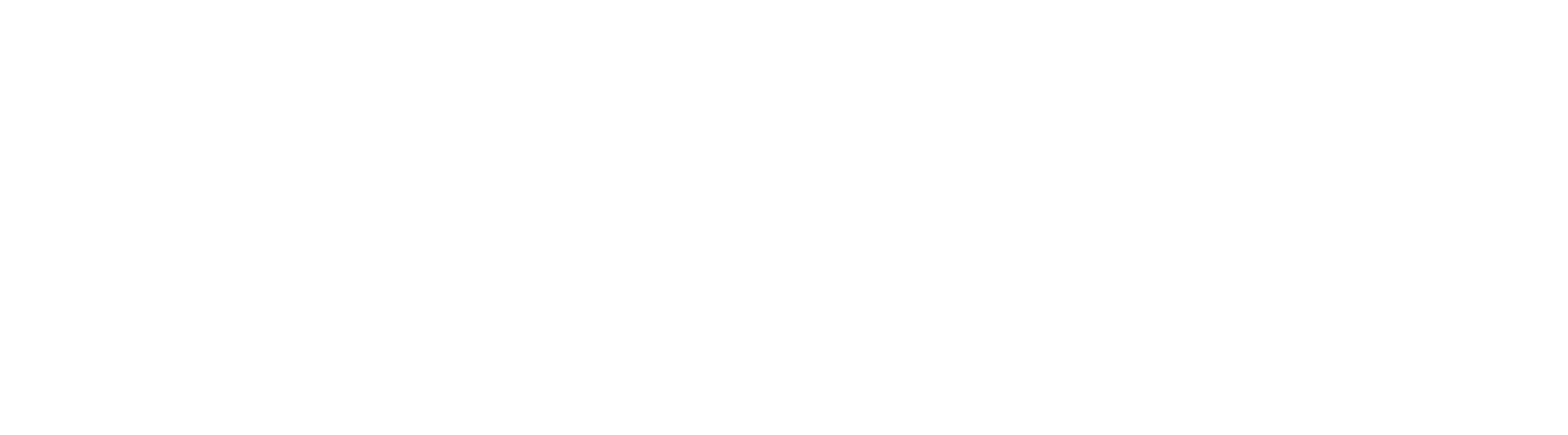 i호스티지