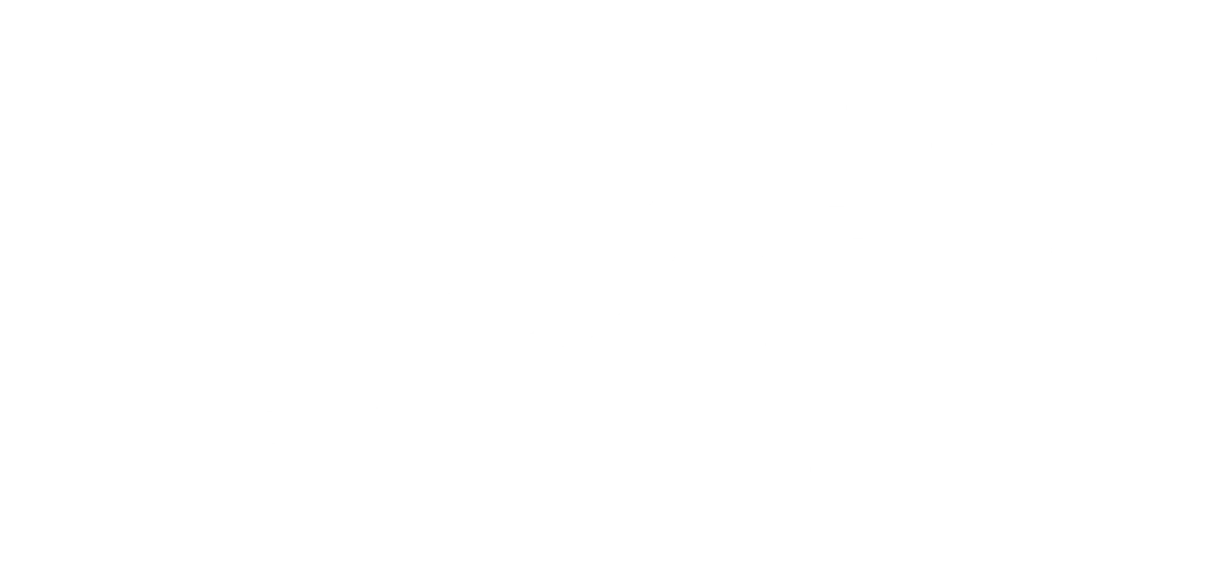 드라이 마르티나