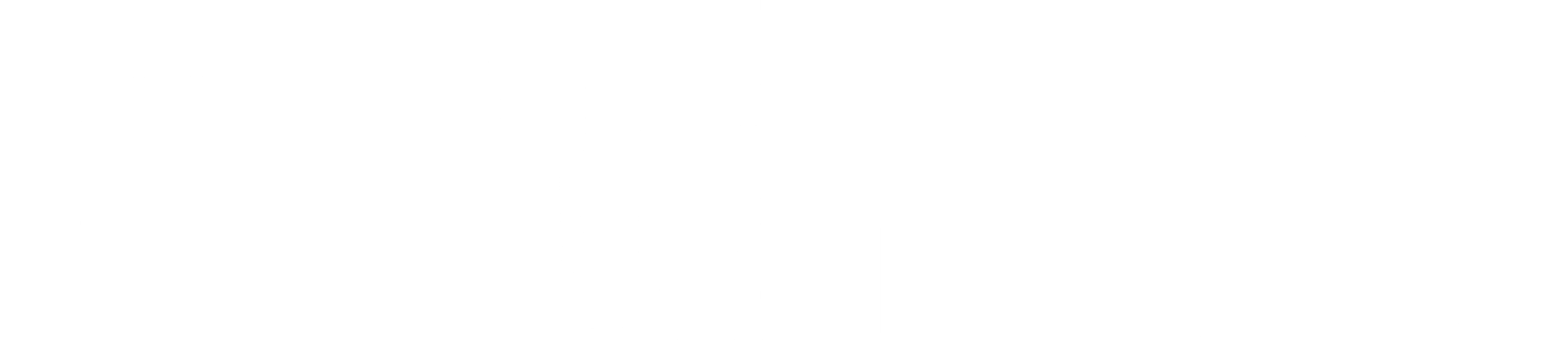 더 패신저