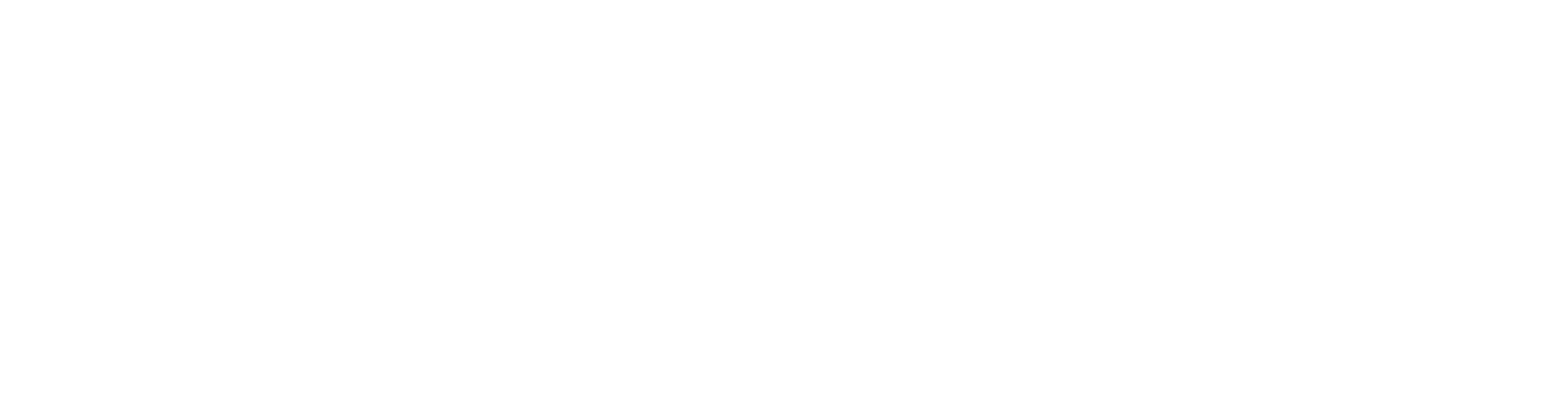 씬