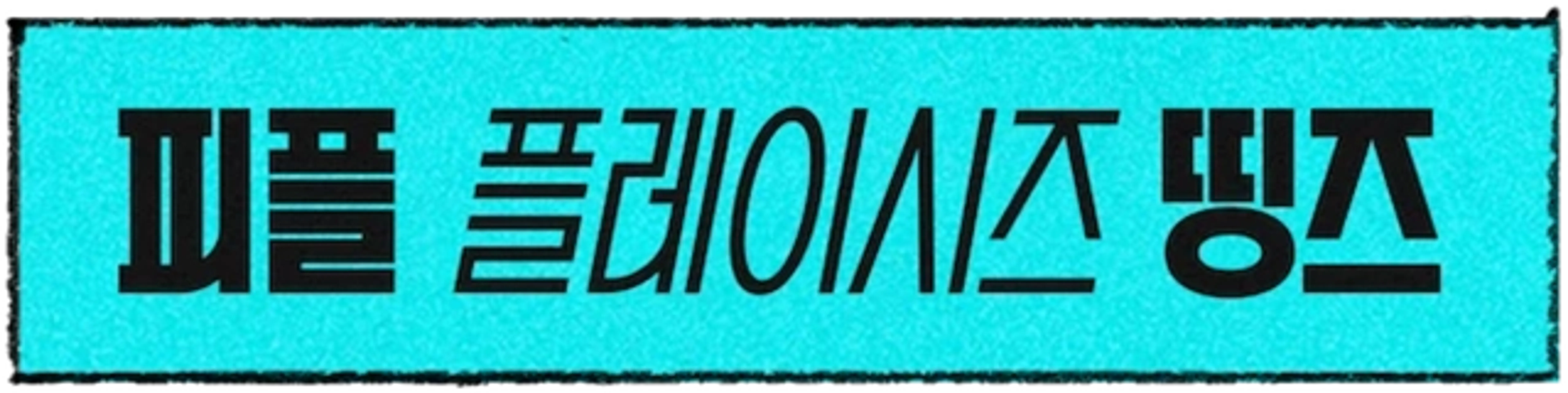 피플 플레이시즈 띵즈