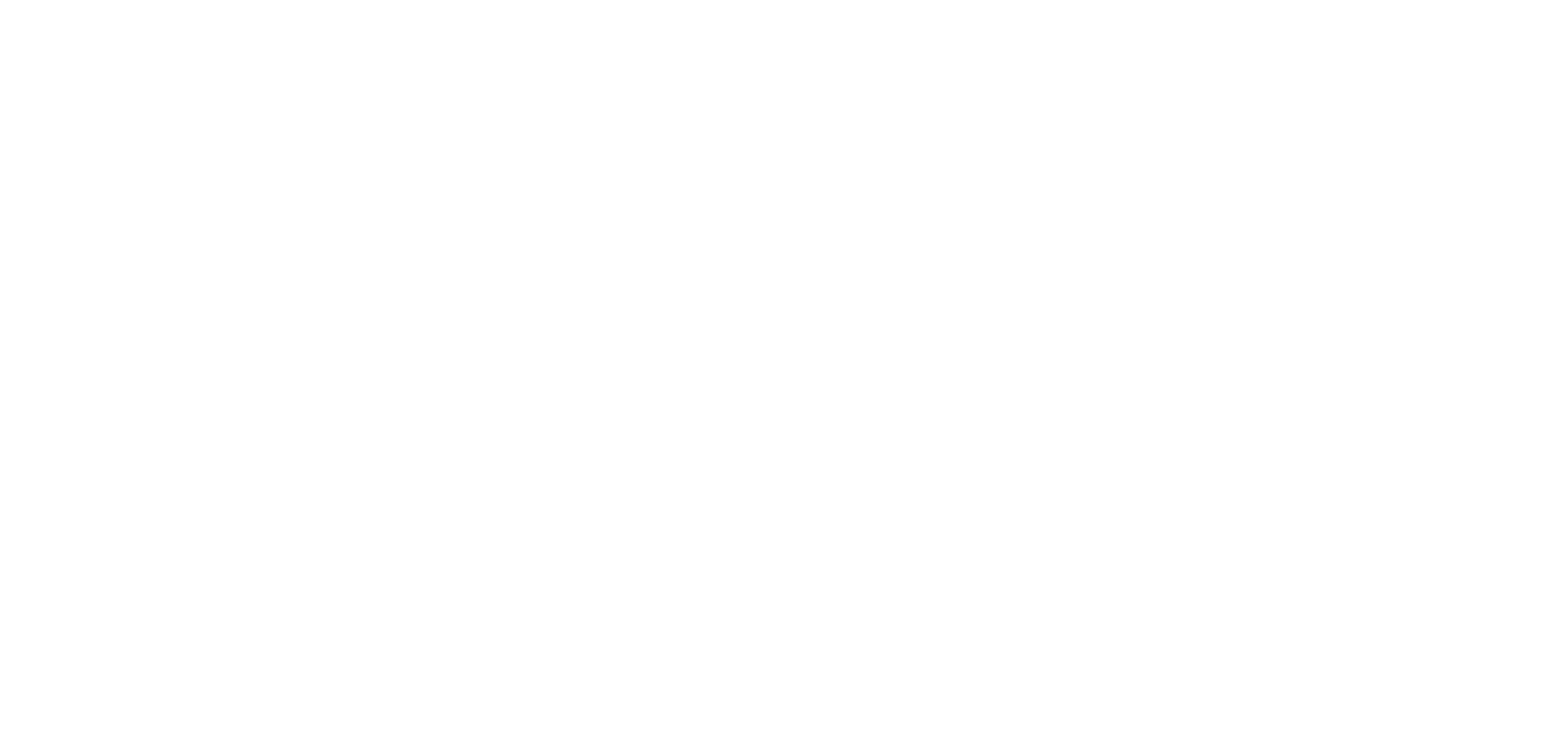퍼펙션