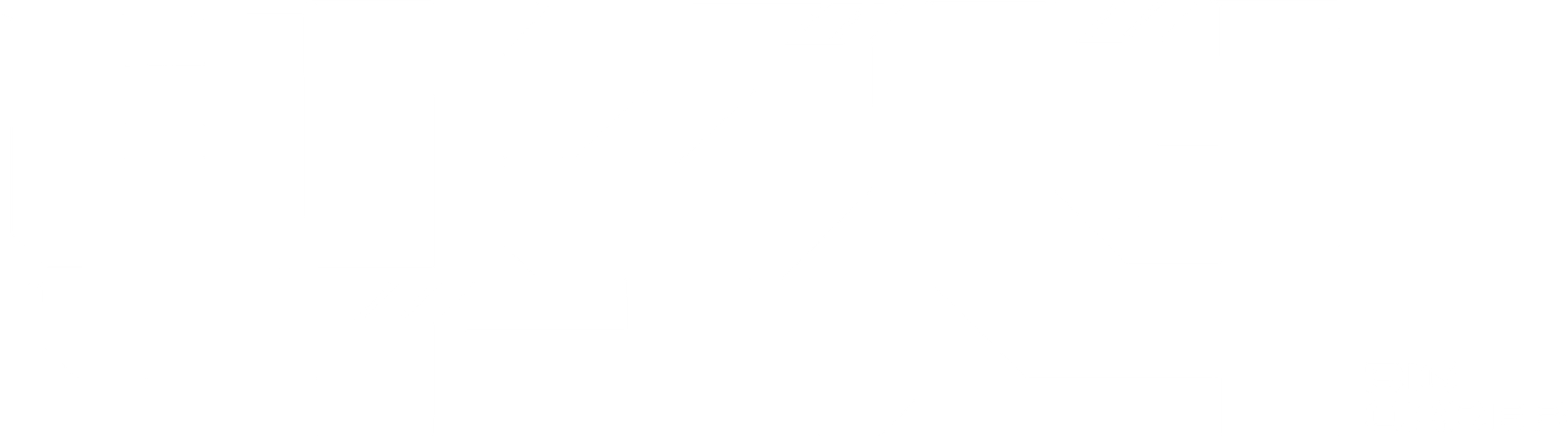 빅 오더