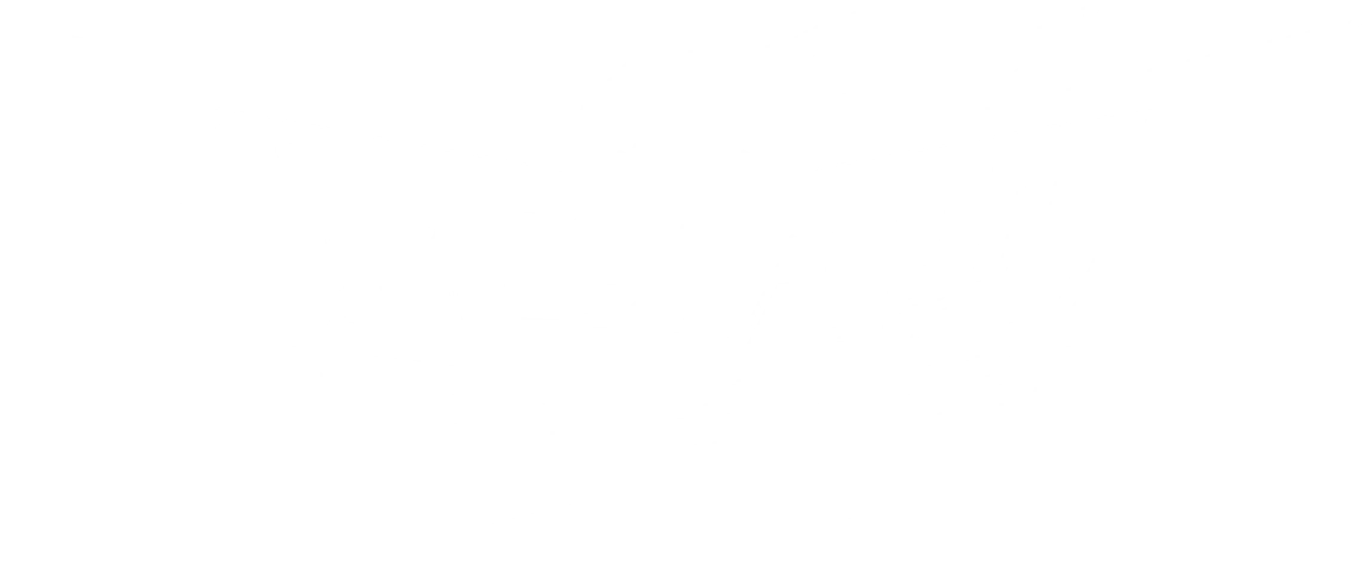 피닉스맨