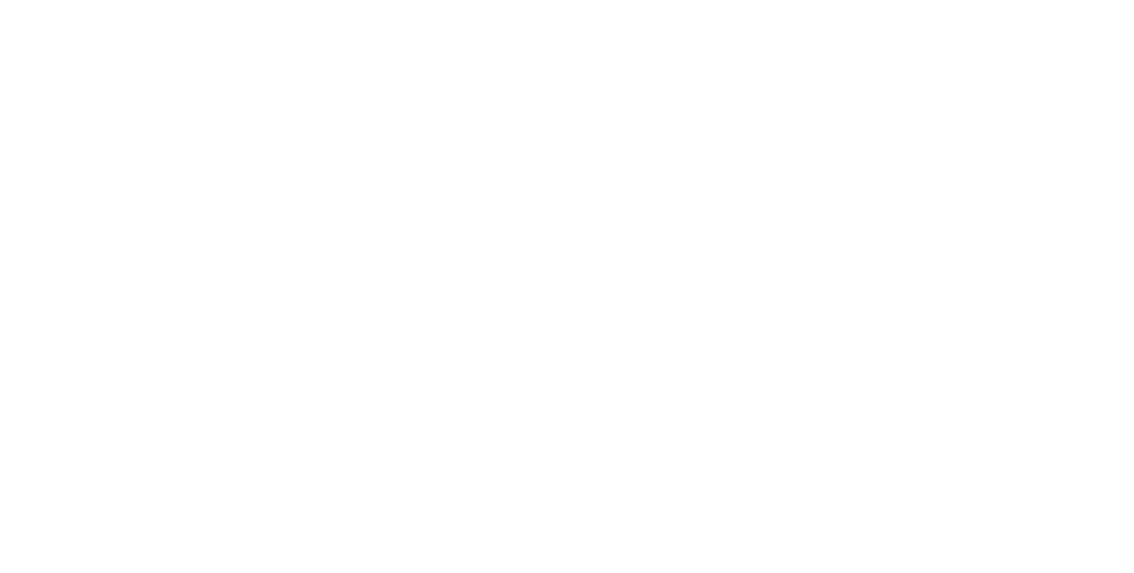제7기병대: 커스터장군