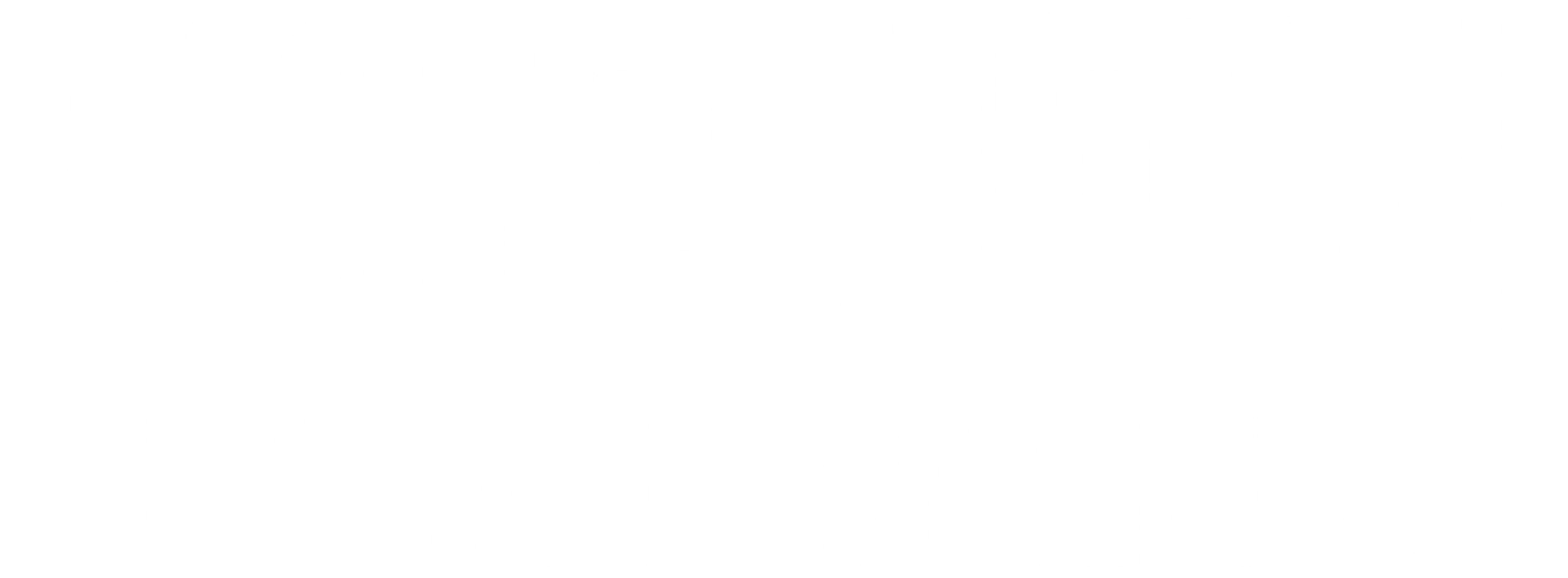 네이트 바가치: 테네시에서 왔습니다만