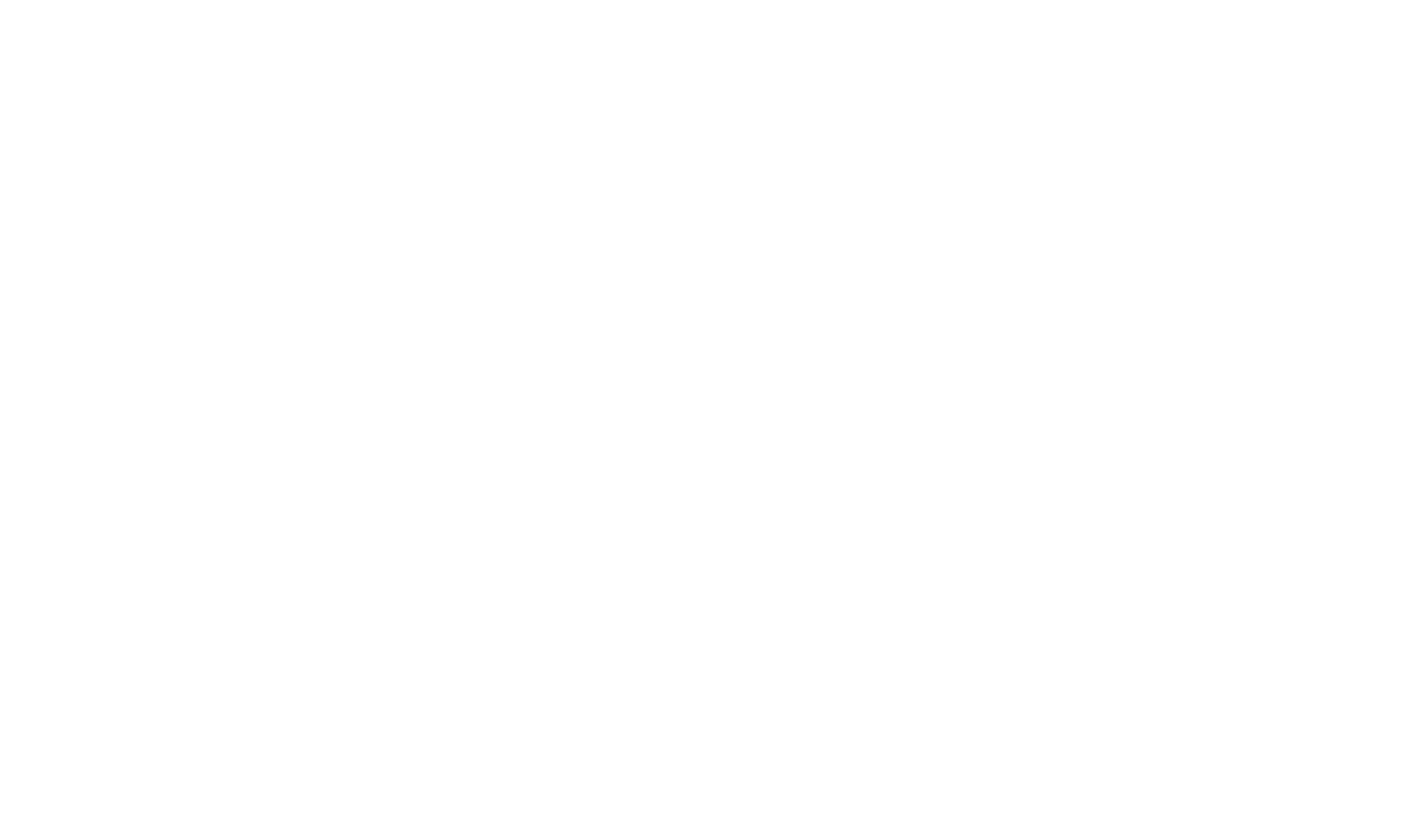 비치 보이스