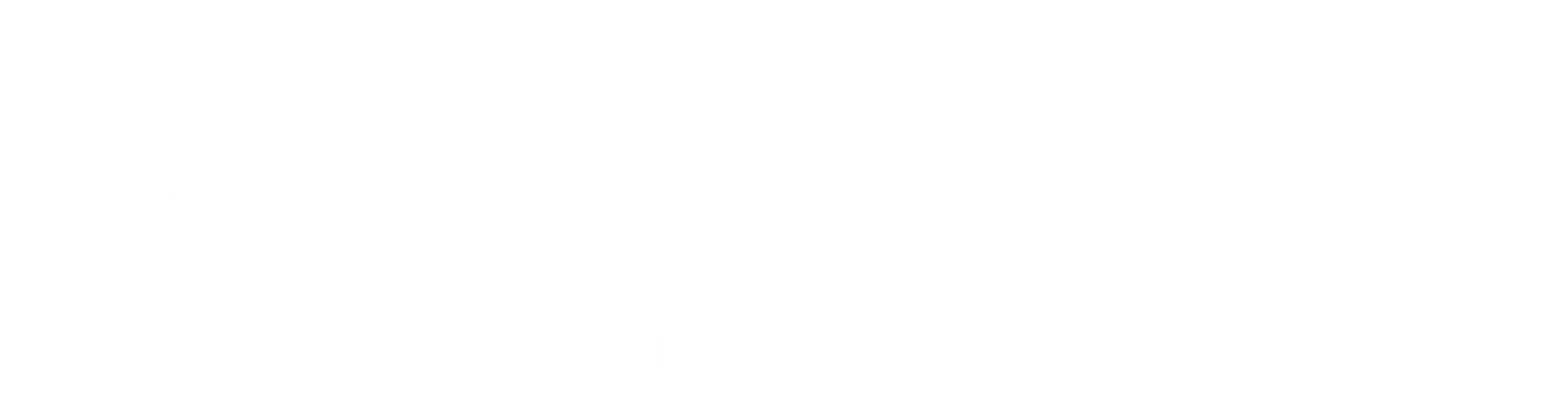 출동! 드래곤 구조대 - 송윙 드래곤의 비밀