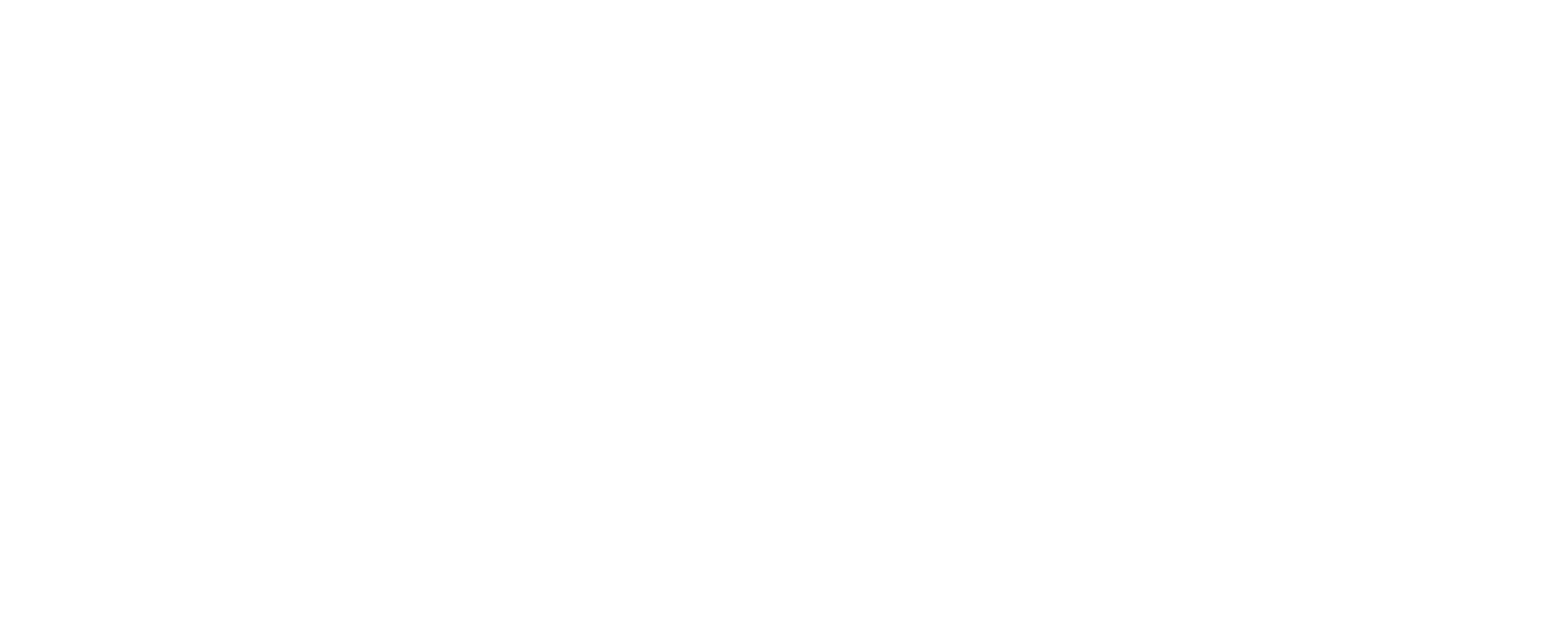 잭 화이트홀: 농담인데요