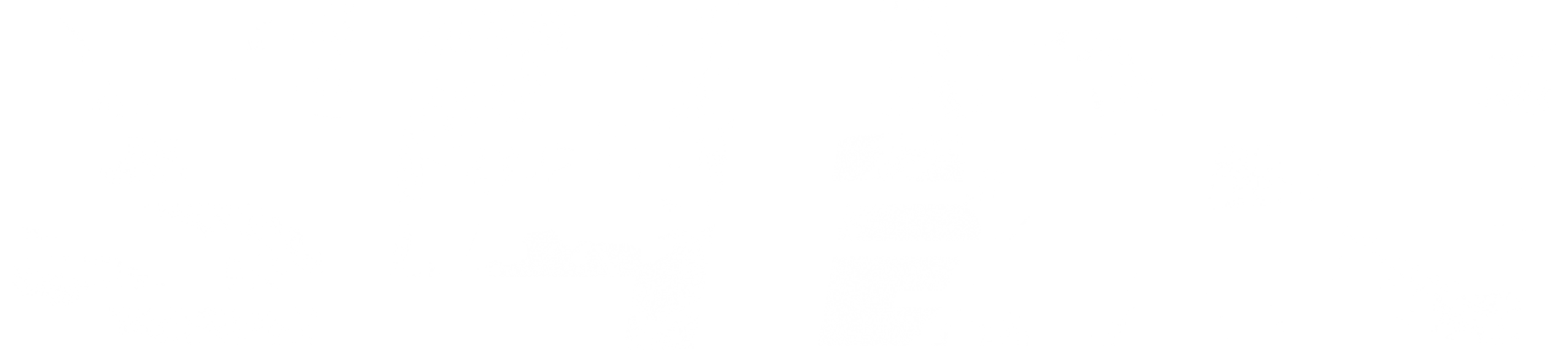블랙 불릿